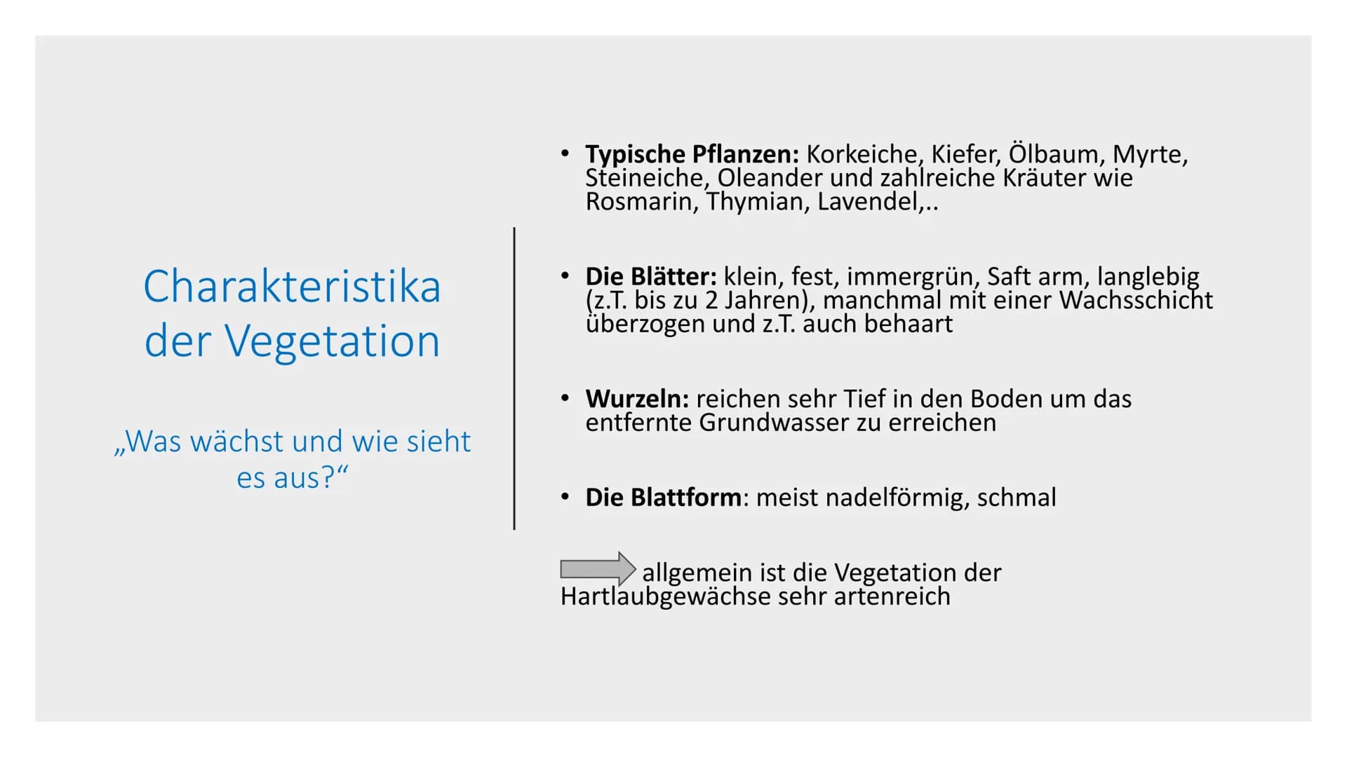 5.Vegetationszone
Hartlaubgehölze -   Wichtige Informationen
-   Klima in Spanien
-   Wasserverteilung Spaniens
-   Gründe der Wasserkriese
