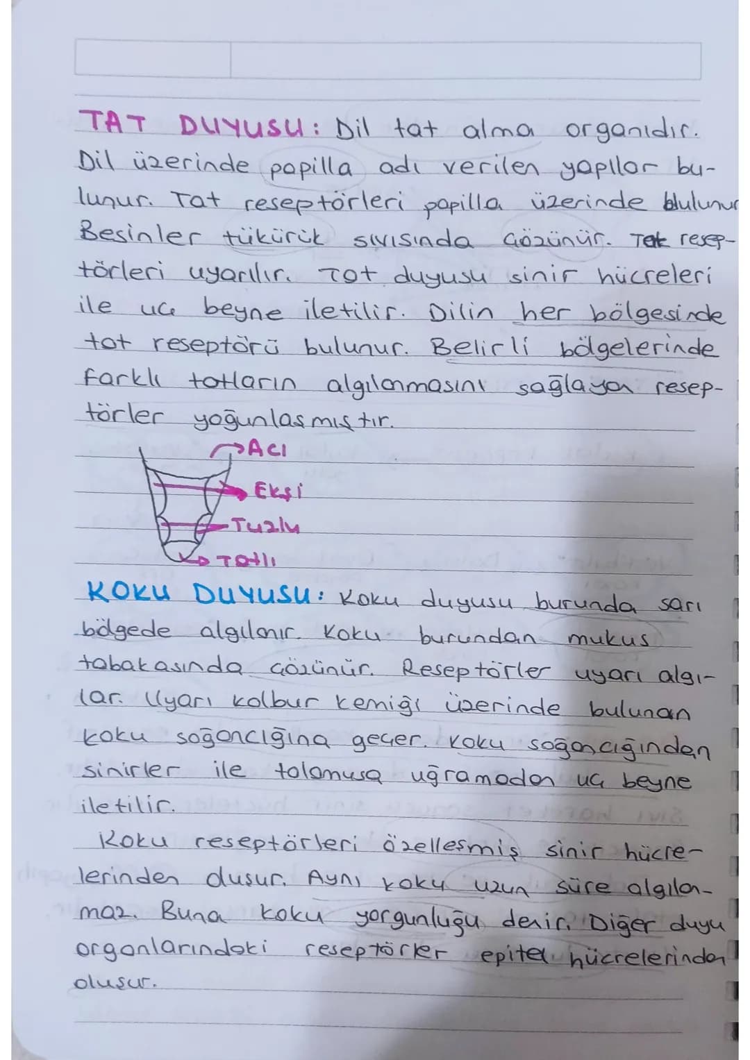 * KULAK: isitme ve denge organıdır.

Dis kulok - Orta kulok - iç kulok olmak

üzere üç kısımdan oluşur.

Kulakuesi
kepçesi

yarım
doire
kono