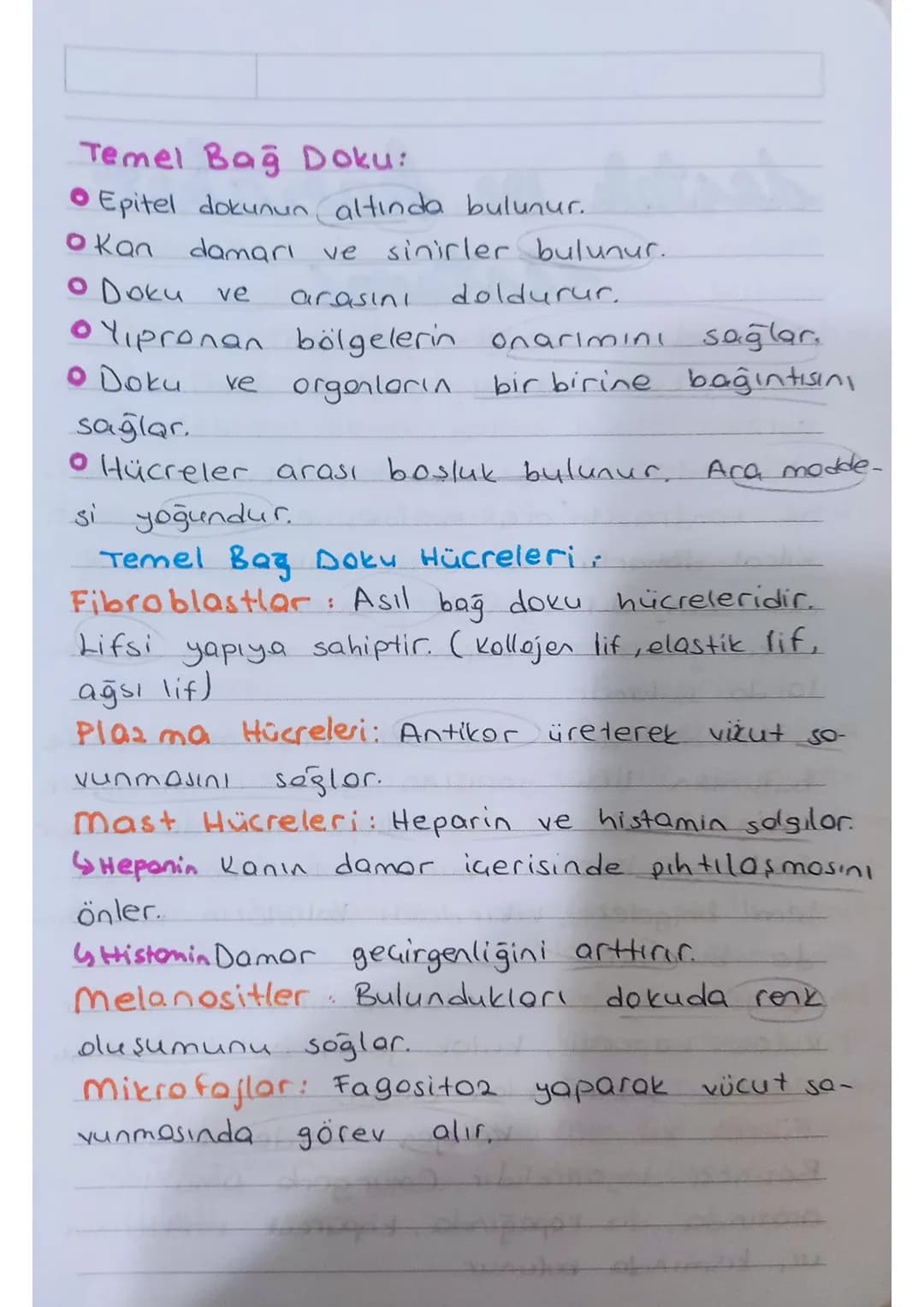 * KULAK: isitme ve denge organıdır.

Dis kulok - Orta kulok - iç kulok olmak

üzere üç kısımdan oluşur.

Kulakuesi
kepçesi

yarım
doire
kono