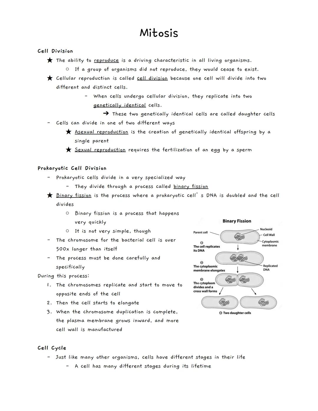 # Mitosis

Cell Division

★ The ability to reproduce is a driving characteristic in all living organisms.

  *   If a group of organisms did