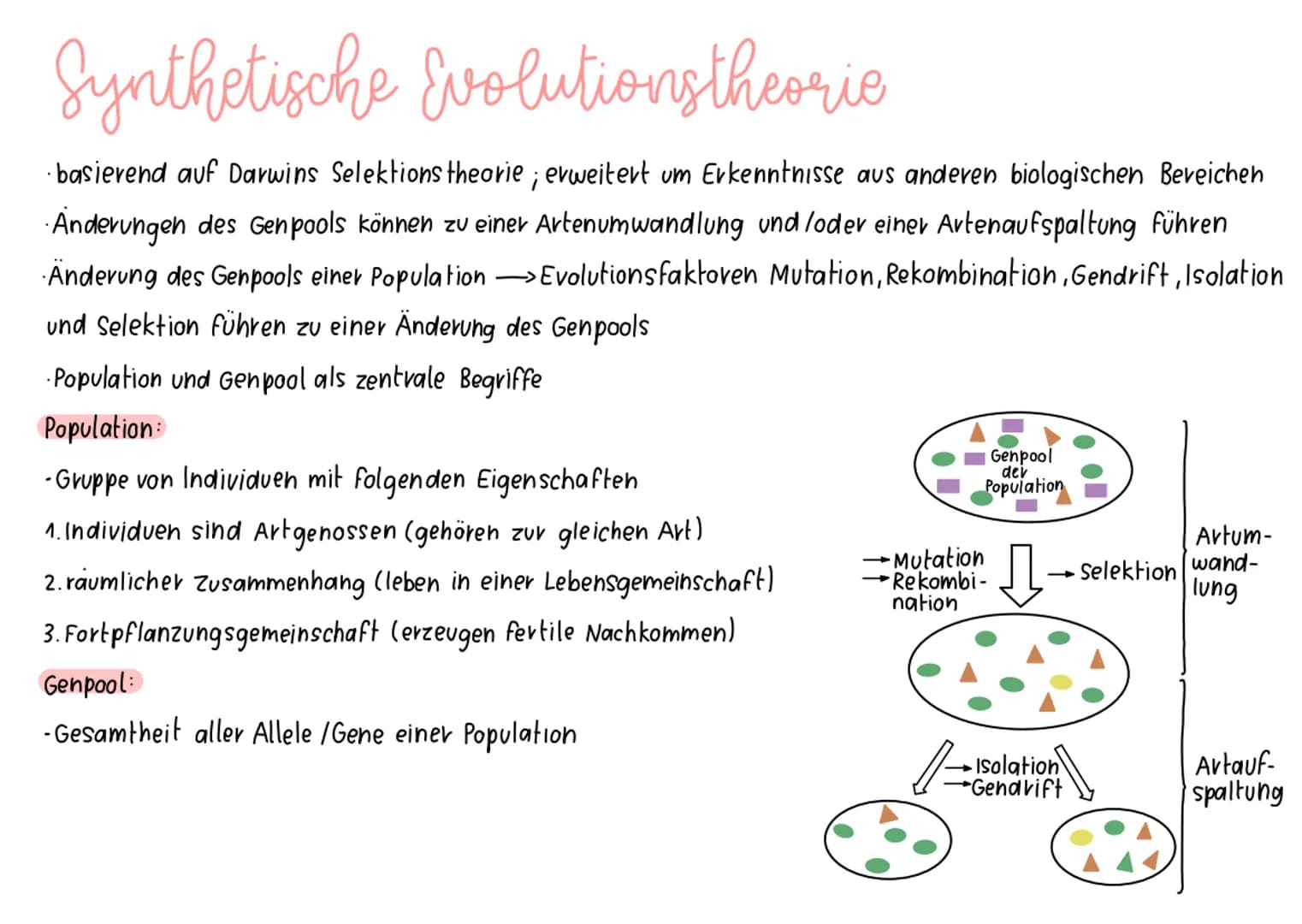 # Synthetische Evolutionstheorie

- basierend auf Darwins Selektions theorie; erweitert um Erkenntnisse aus anderen biologischen Bereichen
-