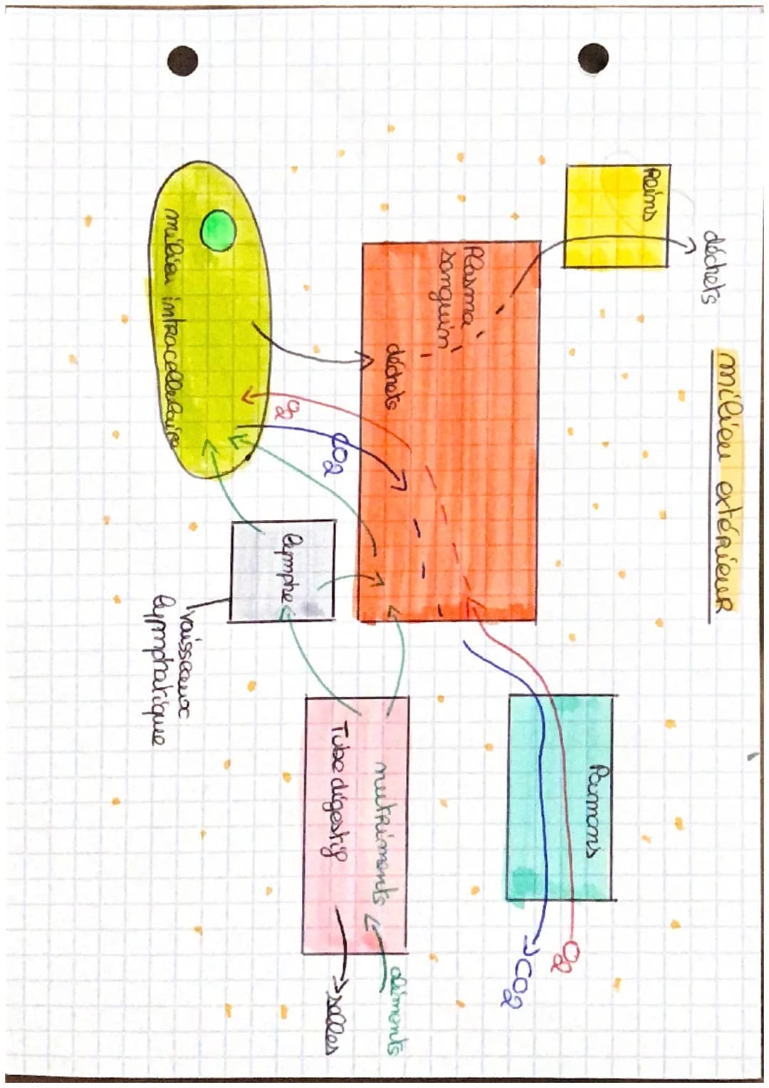 Pole 1 Term
# Biologiee
## Chapitre n°1 de milien intérieur et sa
## compartimention.

Compartiment léquidien :
- liquides intracellulaires 