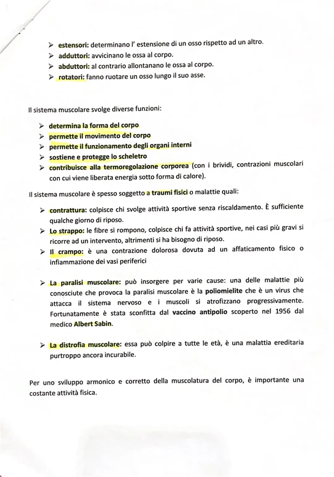 
<p>I muscoli sono gli organi che consentono il movimento del nostro corpo, e il loro insieme costituisce il sistema muscolare. Questo siste