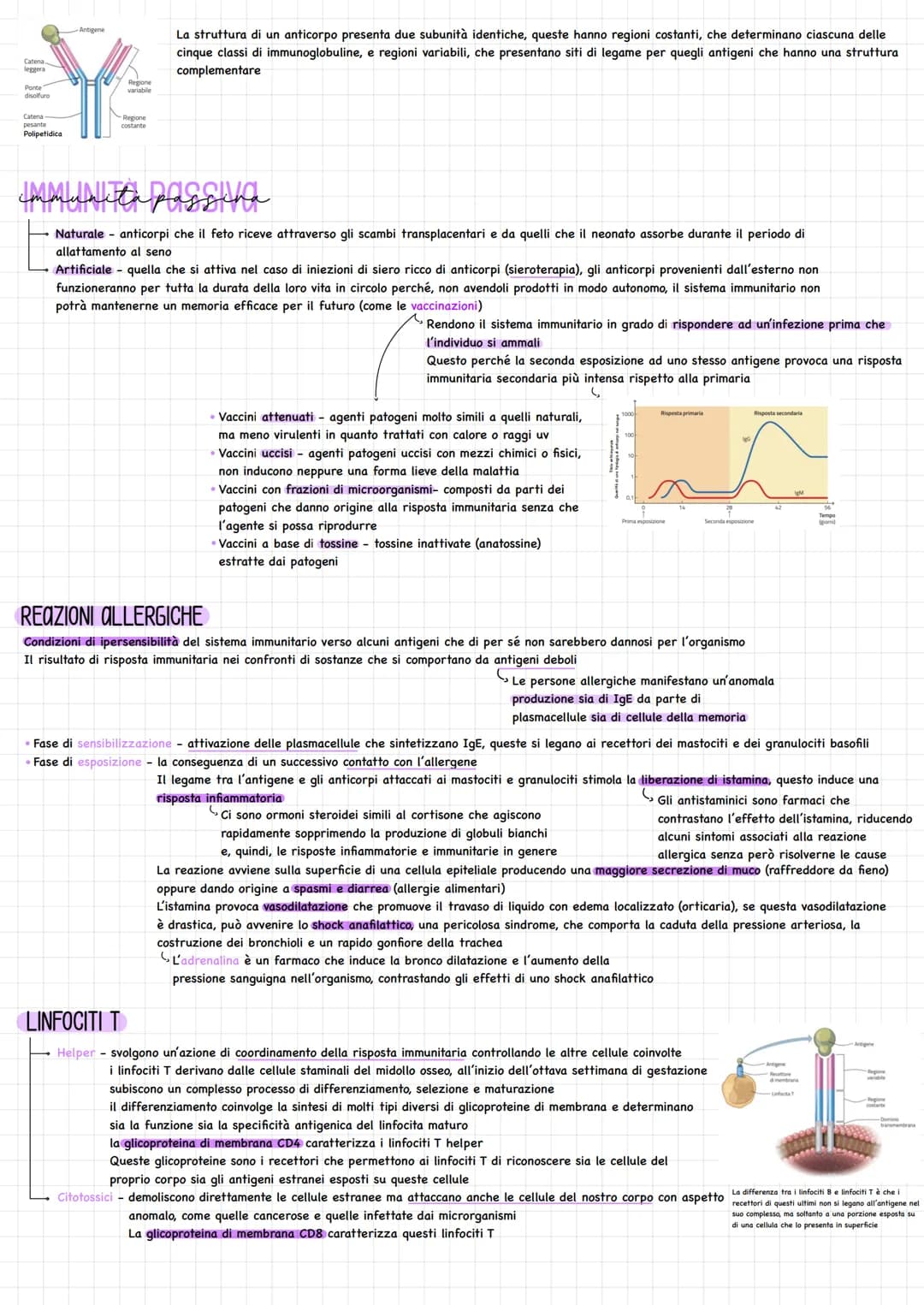# Sistema lingat料CO

Sistema di vasi, separato da quello sanguigno

Funzioni principali mantenere costante la presenza di liquidi e di solut