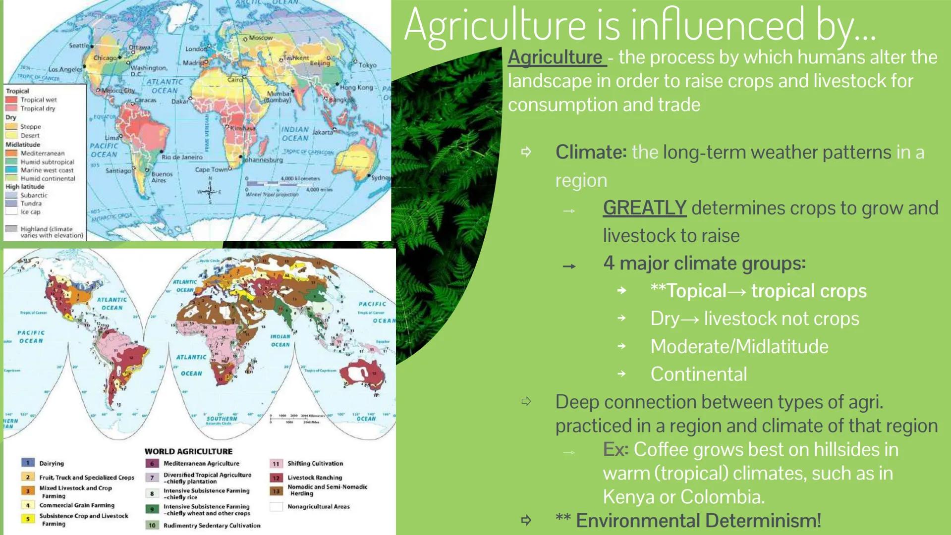 Unit 5 Topic 1
Intro to Agriculture ## EK's!

5.1

- Agri. practices are influenced by
physical geo. and climate
  - Mediterranean
  - Tropi