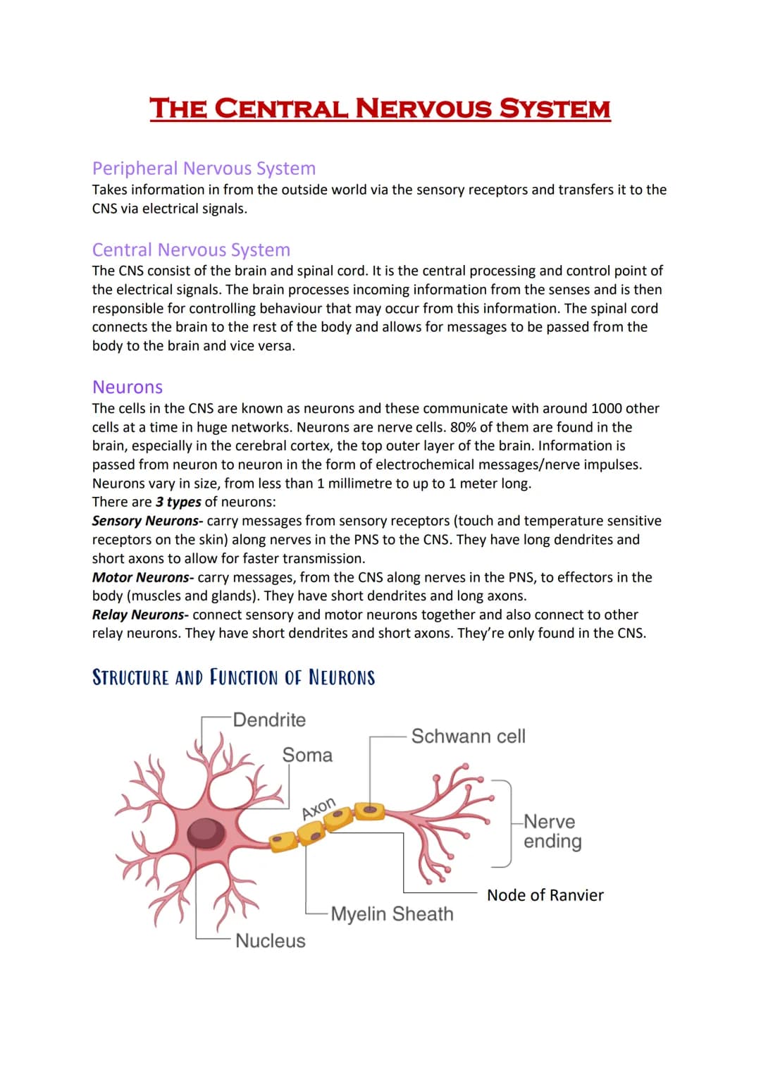 # THE CENTRAL NERVOUS SYSTEM

Peripheral Nervous System
Takes information in from the outside world via the sensory receptors and transfers 