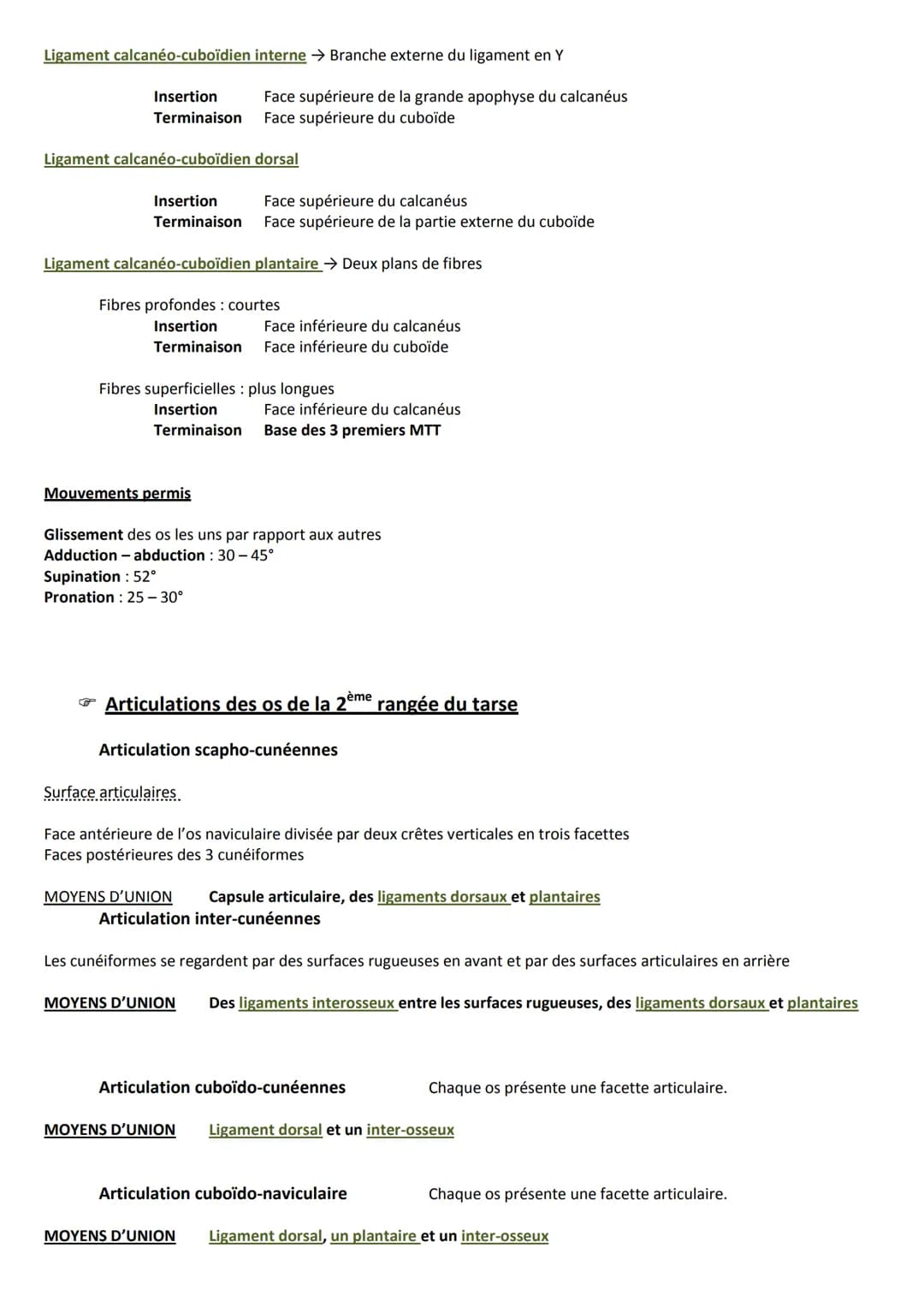 # ARTICULATIONS DE LA CHEVILLE
ET DU PIED

Introduction

Complexe pied/cheville est spécifique, car il permet la station debout et la locomo