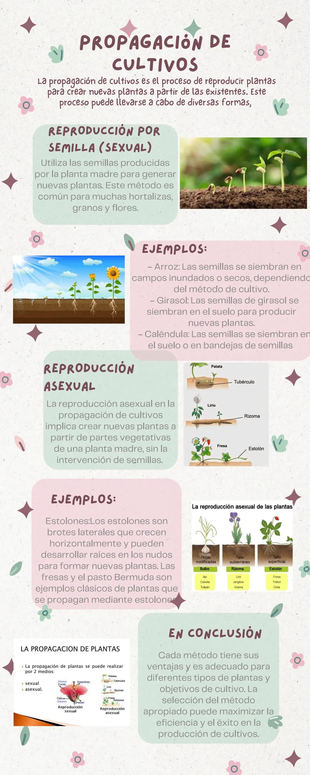 # PROPAGACIÓN DE
CULTIVOS
La propagación de cultivos es el proceso de reproducir plantas
para crear nuevas plantas a partir de las existente