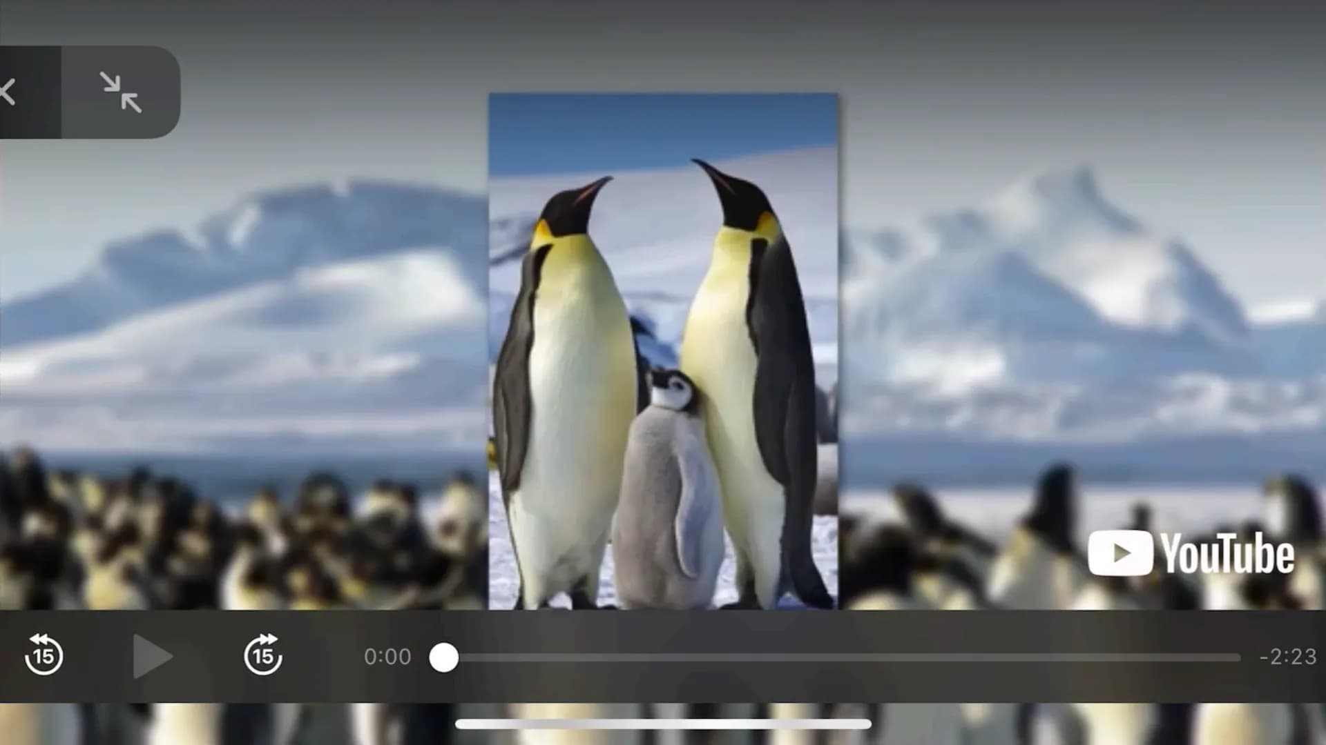 Klimaregeln # Agenda

*   Begriff „Klimaregel"
*   Bergmannsche Regel
*   Warum sind Pinguine in Kälteren Regionen größer?
*   Schaubild Ber