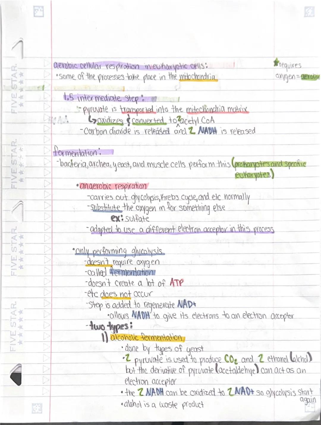 # Cellular Respiration

- takes place in the mitochondria
- taking our food and breaking it down in the presence of oxygen to make ATP
- out