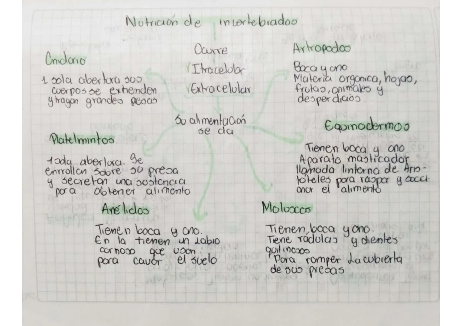 Nutriaón de in vertebrados

Chidorios
Cuerpo gelatinop y en
algunos casos fieneven
Tentaculos

Permite

dolener
energia apatır
de 100 nutrie