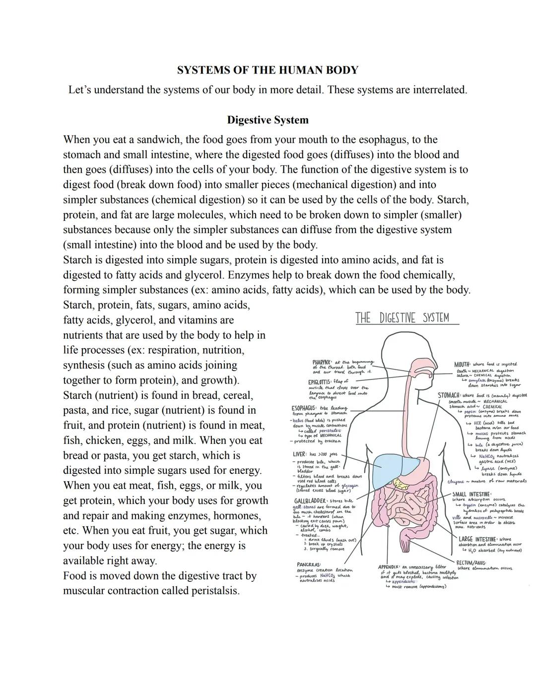 # SIMILARITIES AND DIFFERENCES AMONG LIVING THINGS

All living things are similar:
1. All living things are made of one or more cells, the b