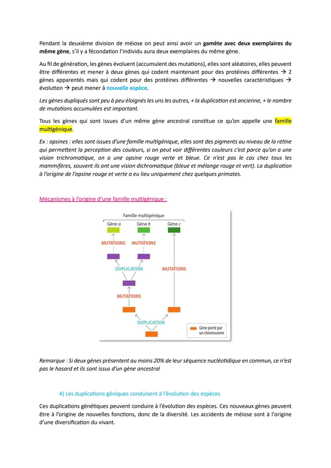 # L'origine du génotype des individus

Comment la reproduction sexuée forme-t-elle des génomes individuels et contribue-t-elle à la
diversif