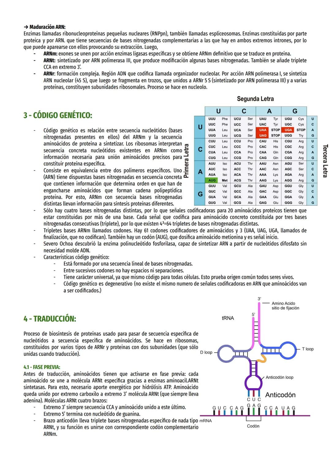 # TEMA 17 - EXPRESIÓN MENSAJE ADN:

1 - EL DOGMA CENTRAL DE LA BIOLOGÍA MOLECULAR:

Información genética célula es causa de síntesis proteín
