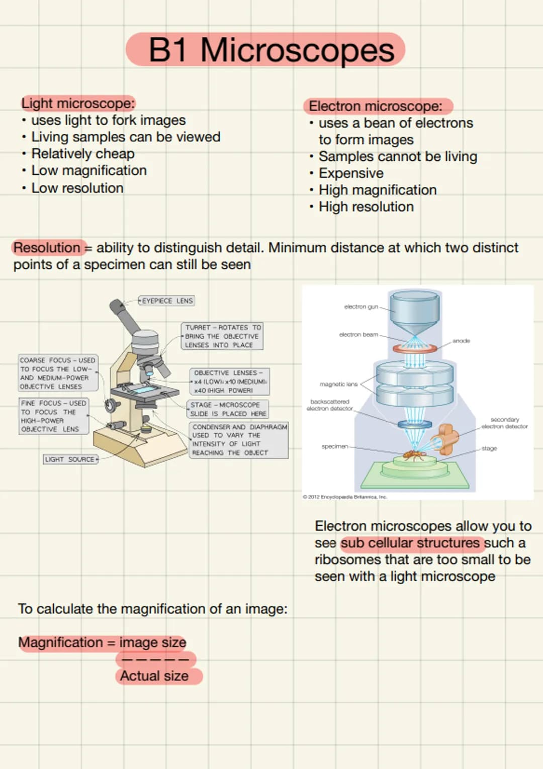 # B1 Microscopes

Light microscope:
*   uses light to fork images
*   Living samples can be viewed
*   Relatively cheap
*   Low magnificatio