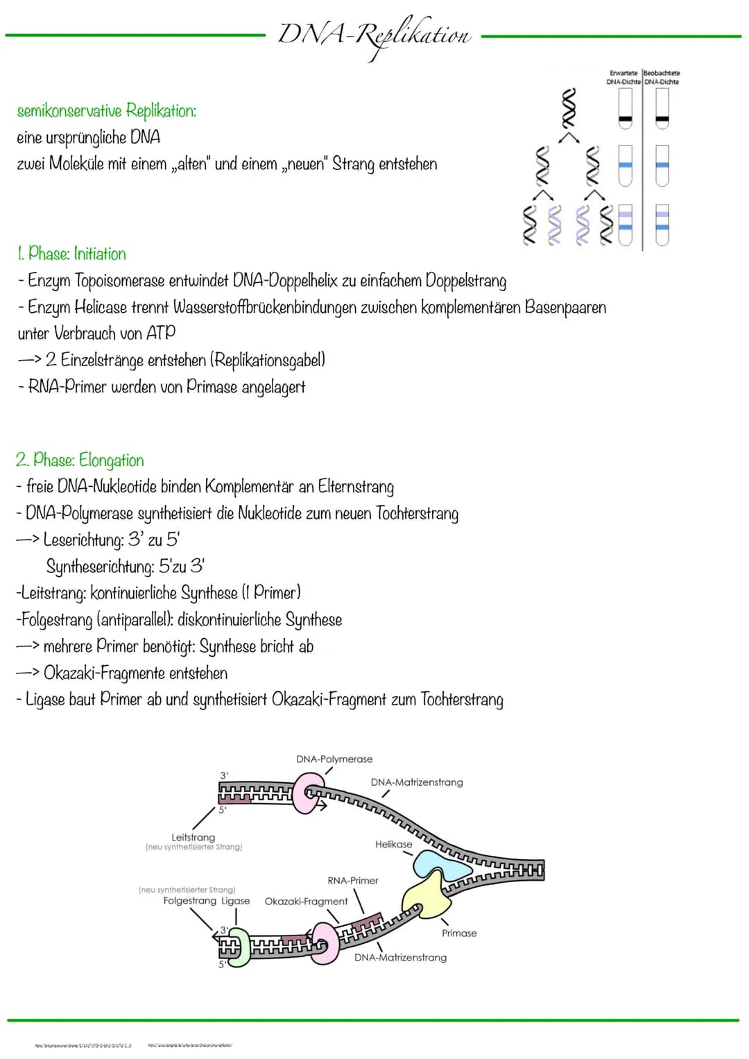 # Chromosomen

DNA wickelt sich um Histone
-> Verdichtung der Chromatinfaser macht Chromosomen sichtbar

-1-Chromatid-Chromosomen
Centromer
