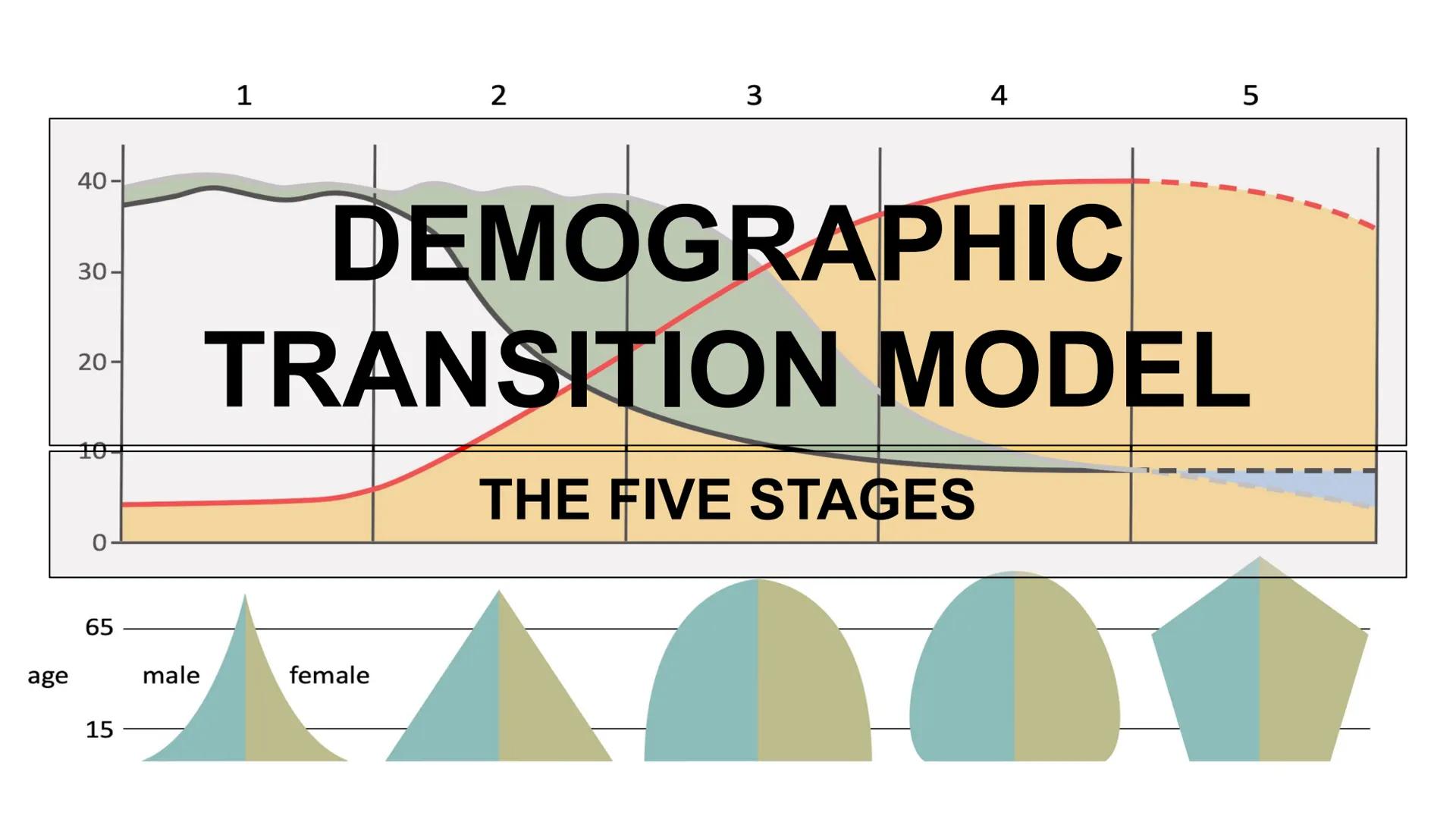 1
2
3
4
5
40
30
20-
FOT
0
DEMOGRAPHIC
TRANSITION MODEL
THE FIVE STAGES
65
age
male
female
15 Stage 1
High stationary
Stage 2
Early expanding
