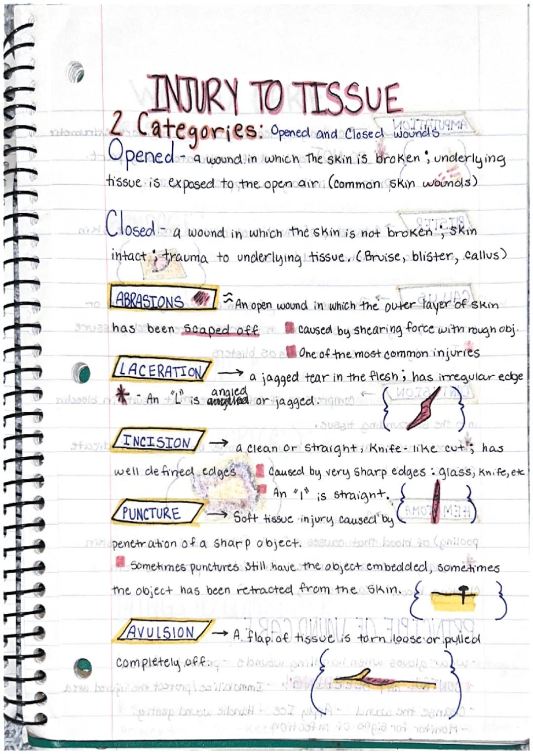 Directional Terms
# Kinesiology Notes

**Anatomical Position:** The standard position of the
body in the study of anatomy from which all dir