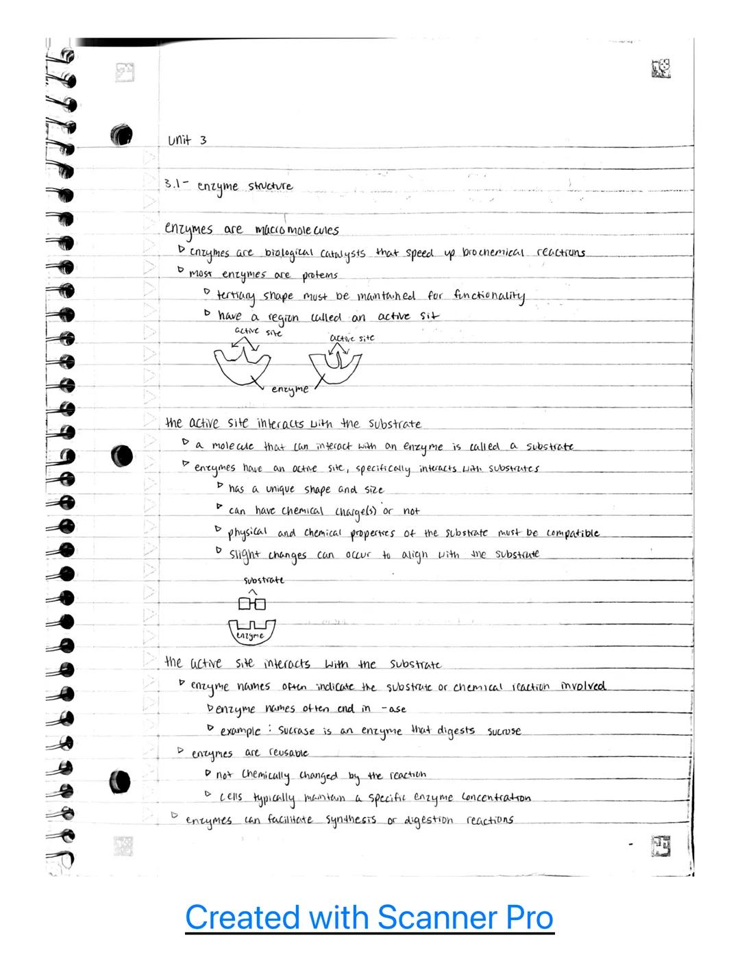 스
Unit 3

3.1- enzyme structure

enzymes are macio mole cules
▷ enzymes are biological catalysts that speed up brochemical reactions
▷ most 