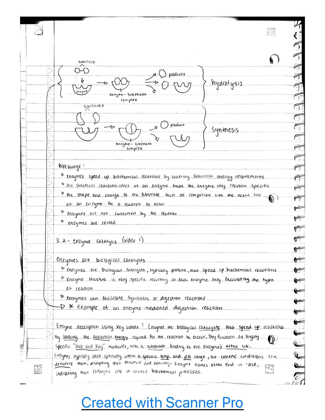스
Unit 3

3.1- enzyme structure

enzymes are macio mole cules
▷ enzymes are biological catalysts that speed up brochemical reactions
▷ most 