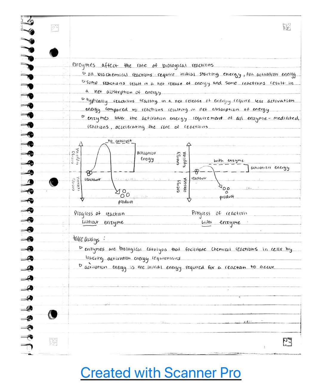 스
Unit 3

3.1- enzyme structure

enzymes are macio mole cules
▷ enzymes are biological catalysts that speed up brochemical reactions
▷ most 