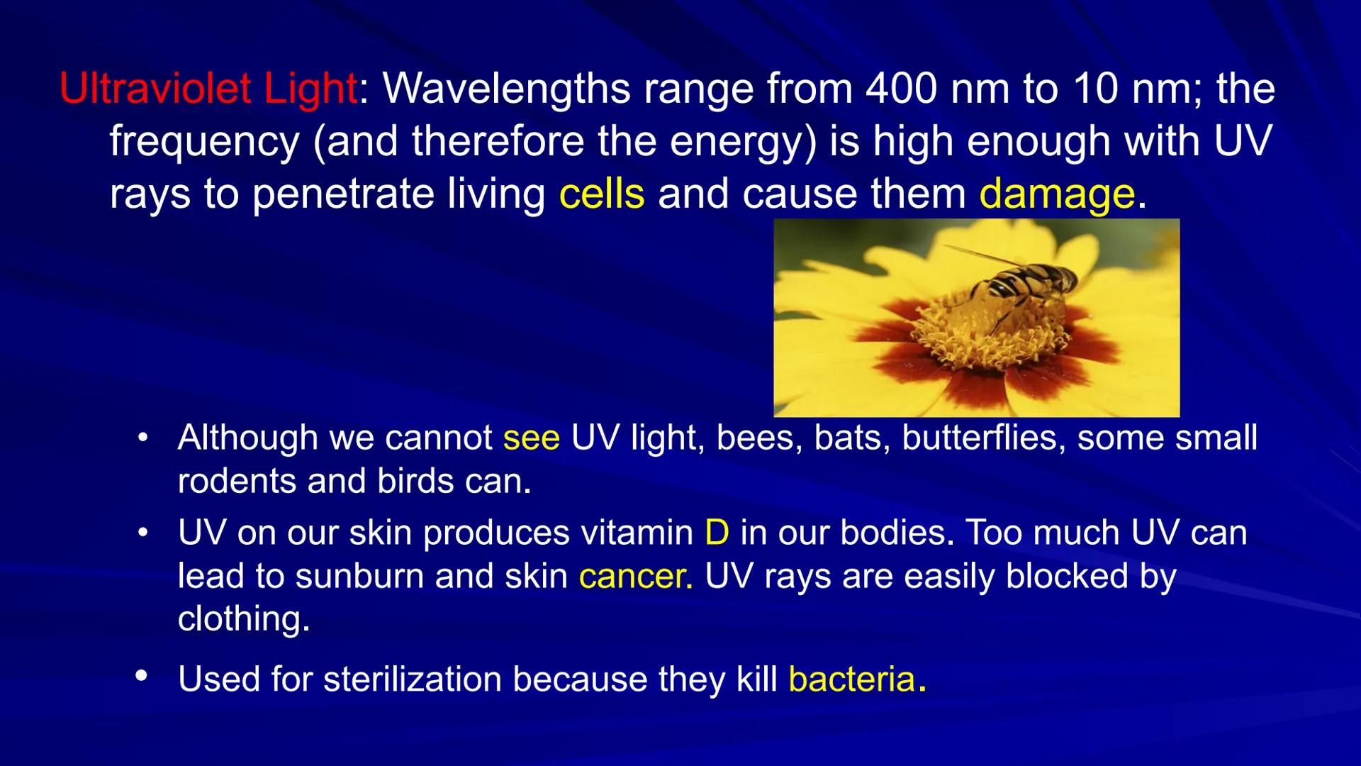 # THE ELECTROMAGNETIC SPECTRUM

Wavelength
(in meters)

Size of a
wavelength

Common
name of wave

Sources

Frequency
(waves per
second)

En