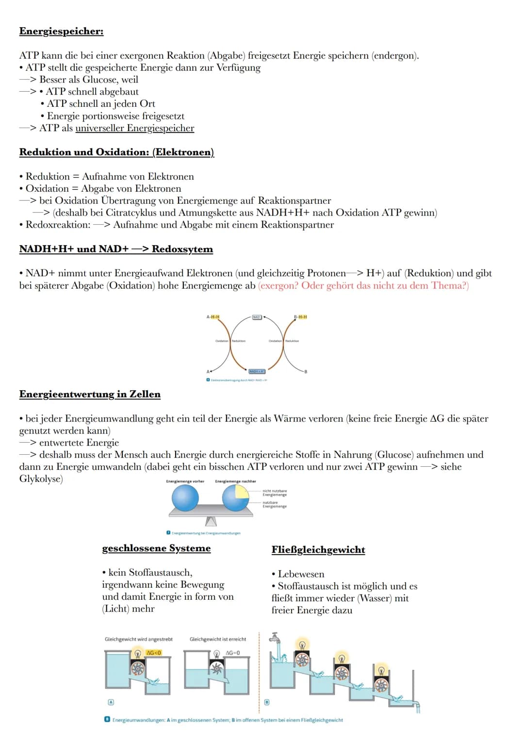 # Energieumsatz in Zellen

Energieformen und Energieumwandlung

• Energie für chemische Reaktionen, Aufbau komplexer Moleküle aus
einfachen 
