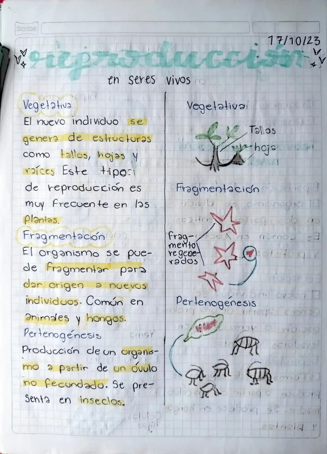 27000/23-3/Oct/23 Mateng: Biologia"
Scribe
# reproduccion
* en seres vivos
No se pueden reproducir
diferentes especies,
debido a que no tien