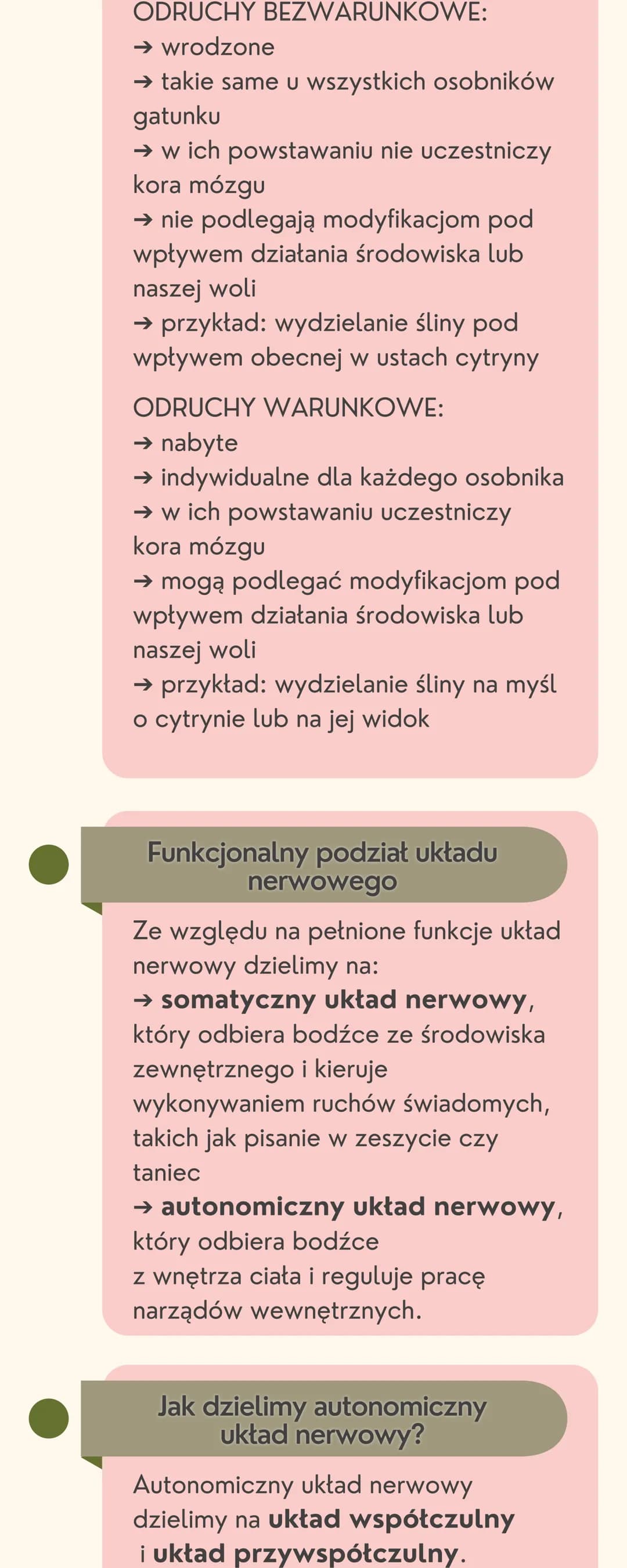 # Układ
nerwowy

Jak jest zbudowany układ nerwowy?

Układ nerwowy jest zbudowany
z dwóch części: ośrodkowego układu
nerwowego i obwodowego u