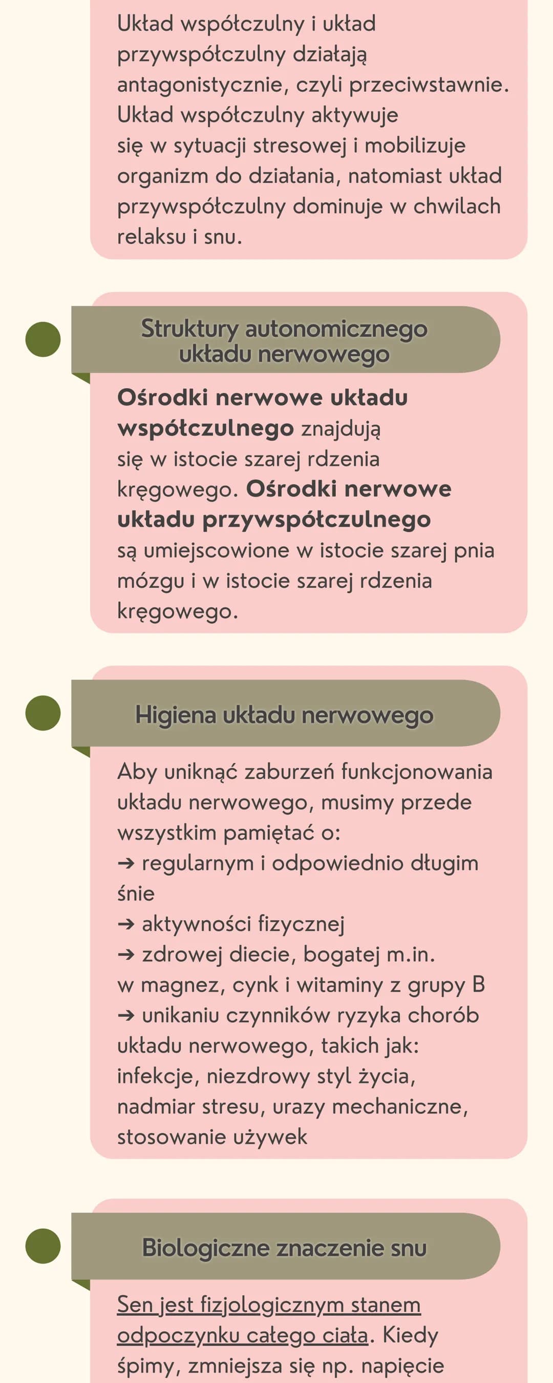 # Układ
nerwowy

Jak jest zbudowany układ nerwowy?

Układ nerwowy jest zbudowany
z dwóch części: ośrodkowego układu
nerwowego i obwodowego u