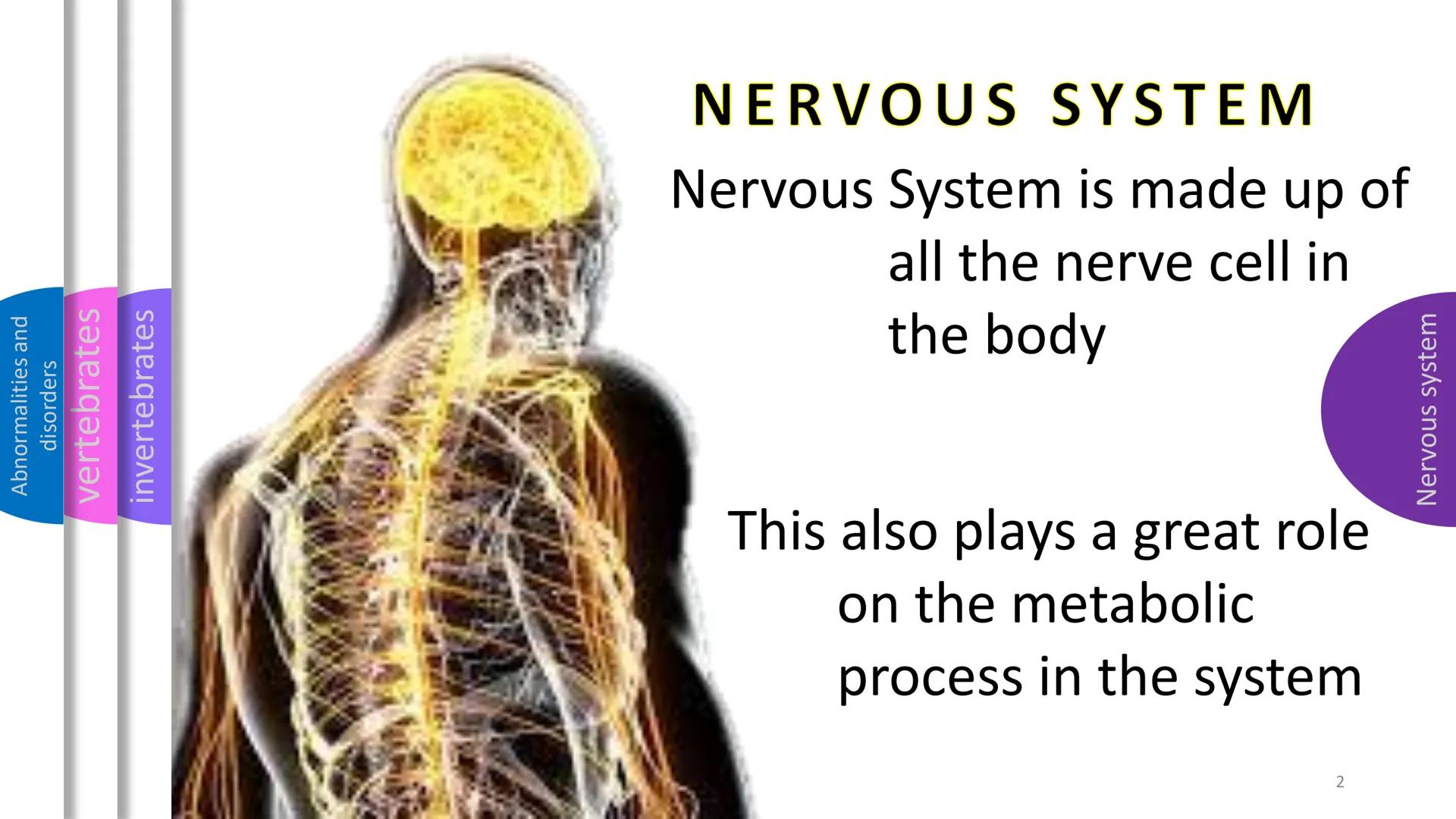 - Abnormalities and disorders
- vertebrates
- invertebrates
- Nervous system

NERVOUS
SYSTEM Abnormalities and
disorders
vertebrates
i
