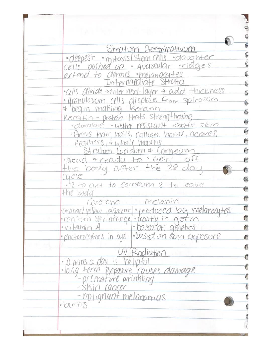Integumentary System

Skin

10/17

Changes in color, Flexibility, and sensitivity
•
helpful to physicians

Vitiligo-pigmentation disorder
* 