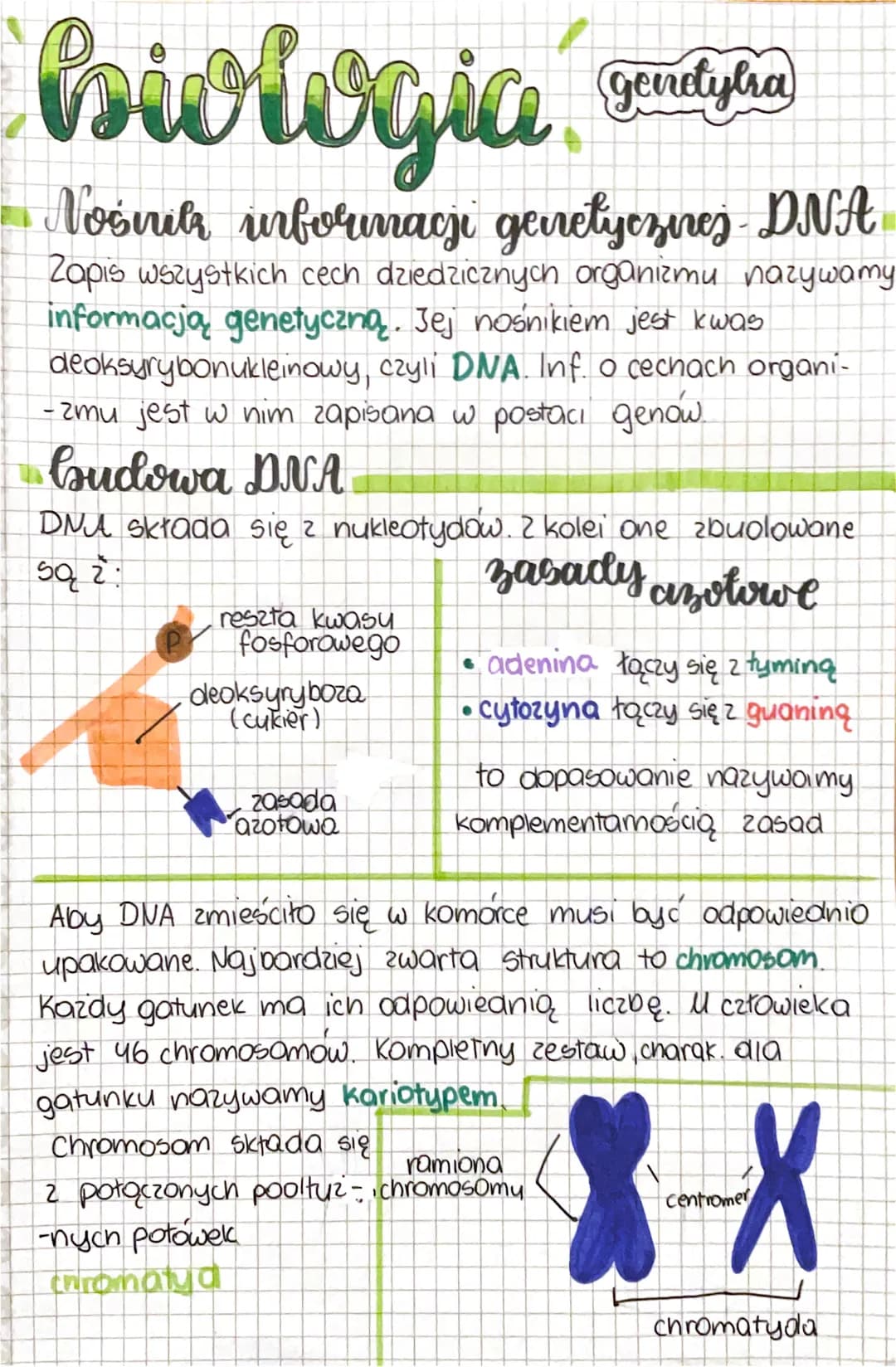 # biologia da

Nośnik informacji genetycznej - DNA

Zapis wszystkich cech dziedzicznych organizmu nazywamy
informacją genetyczną. Jej nośnik