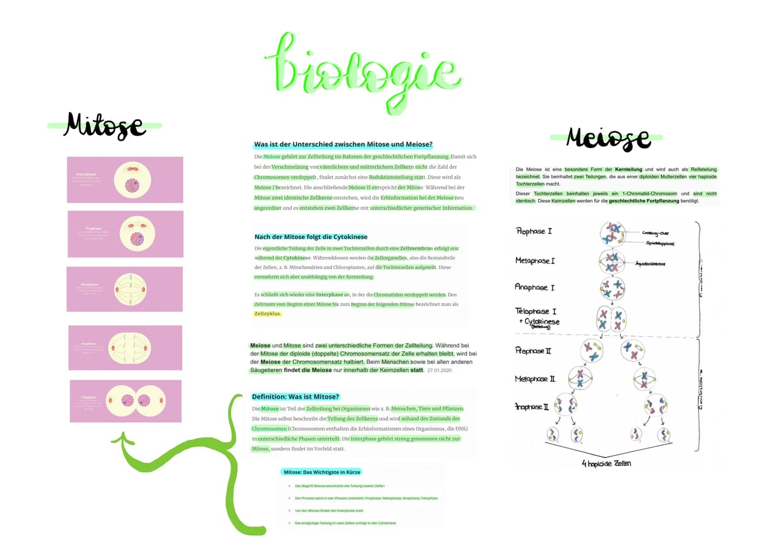 # biologie

# Mitose

Interphase

Was ist der Unterschied zwischen Mitose und Meiose?

Die Meiose gehört zur Zellteilung im Rahmen der gesch
