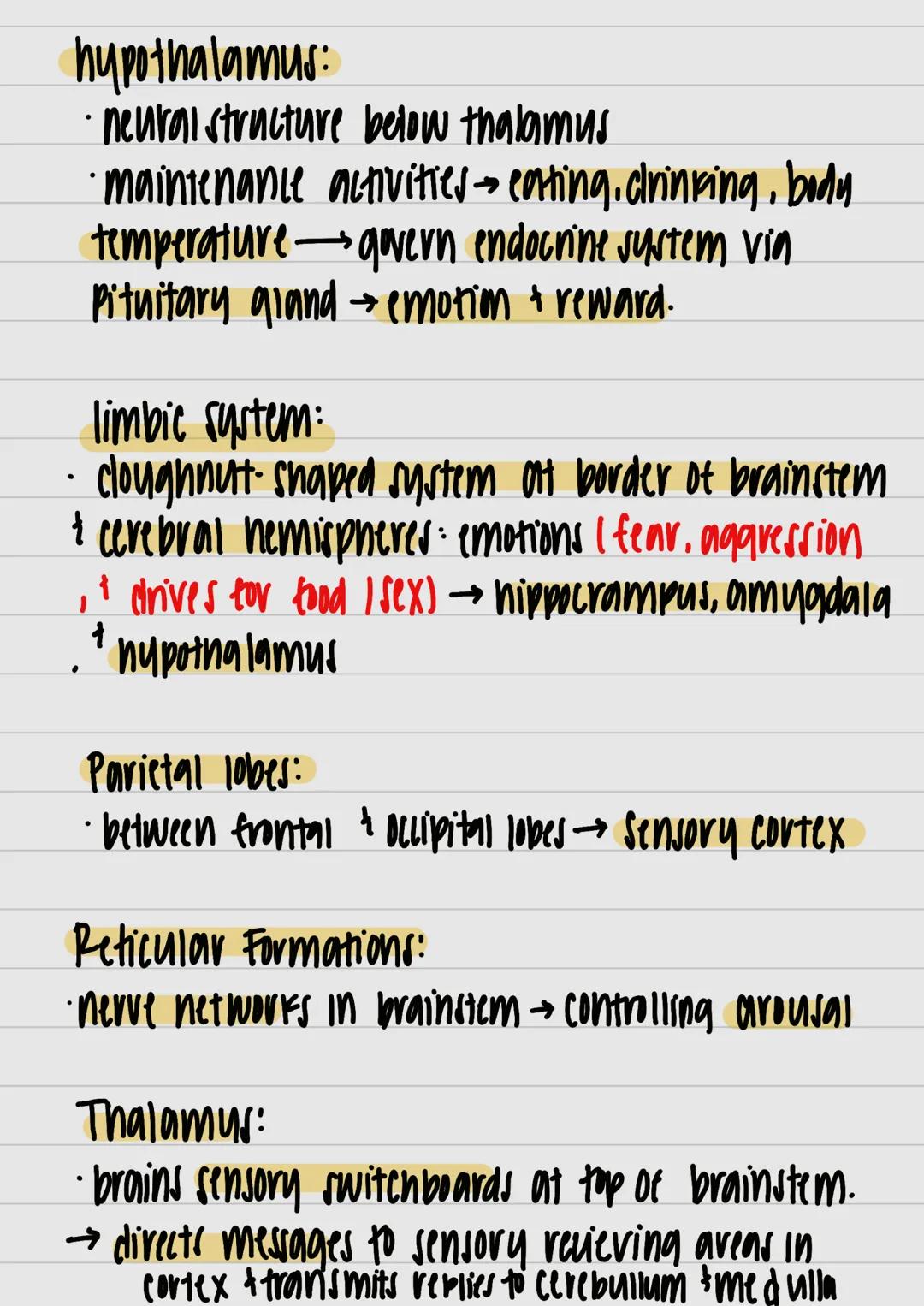motor neurons:
- neurons that carry out information from central
 nervous system muncies and glands



nervous system:
- all nerve cells in 