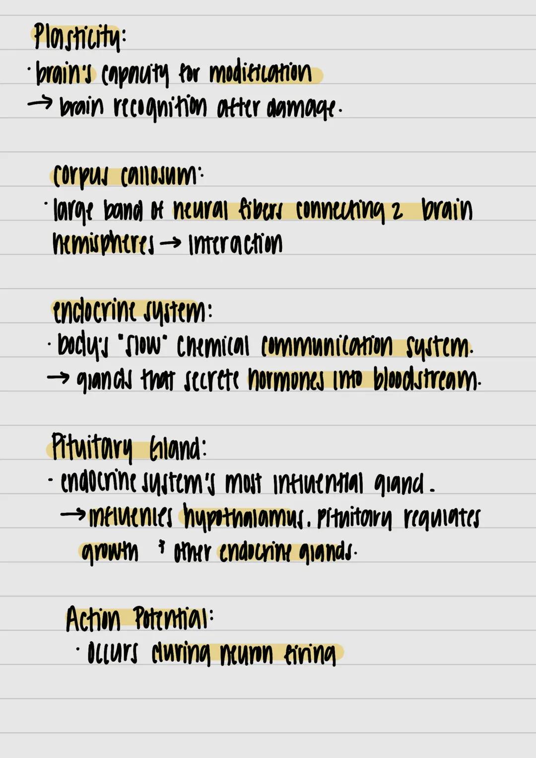 motor neurons:
- neurons that carry out information from central
 nervous system muncies and glands



nervous system:
- all nerve cells in 