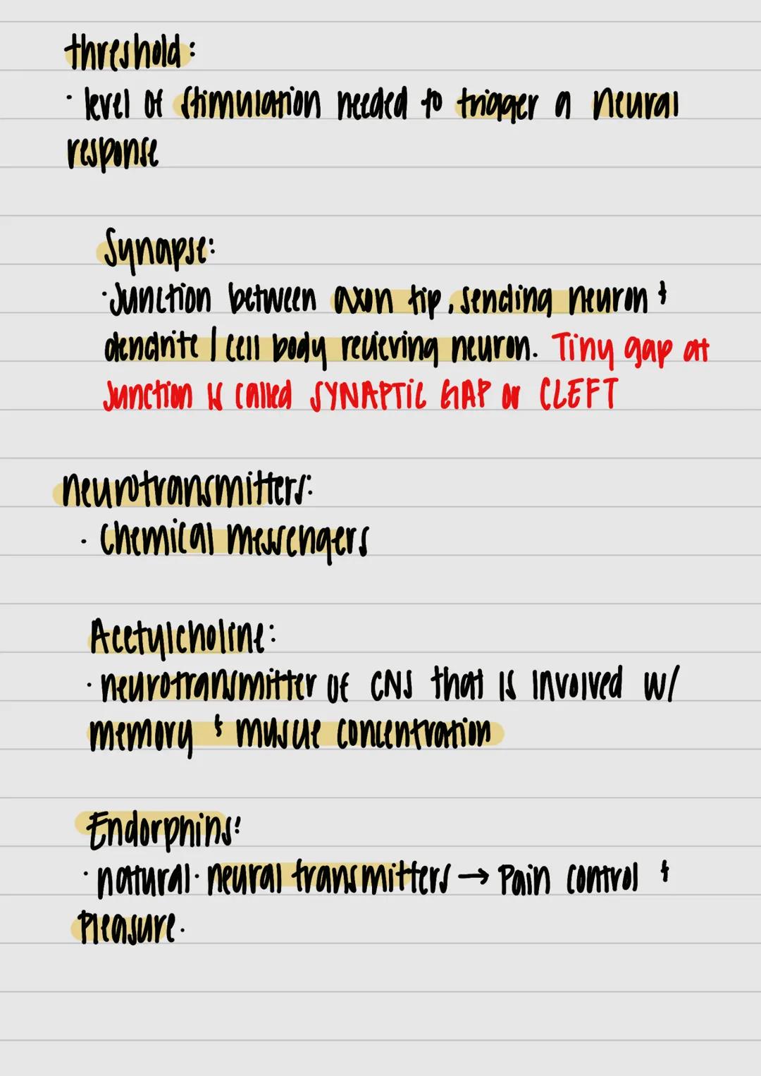 motor neurons:
- neurons that carry out information from central
 nervous system muncies and glands



nervous system:
- all nerve cells in 