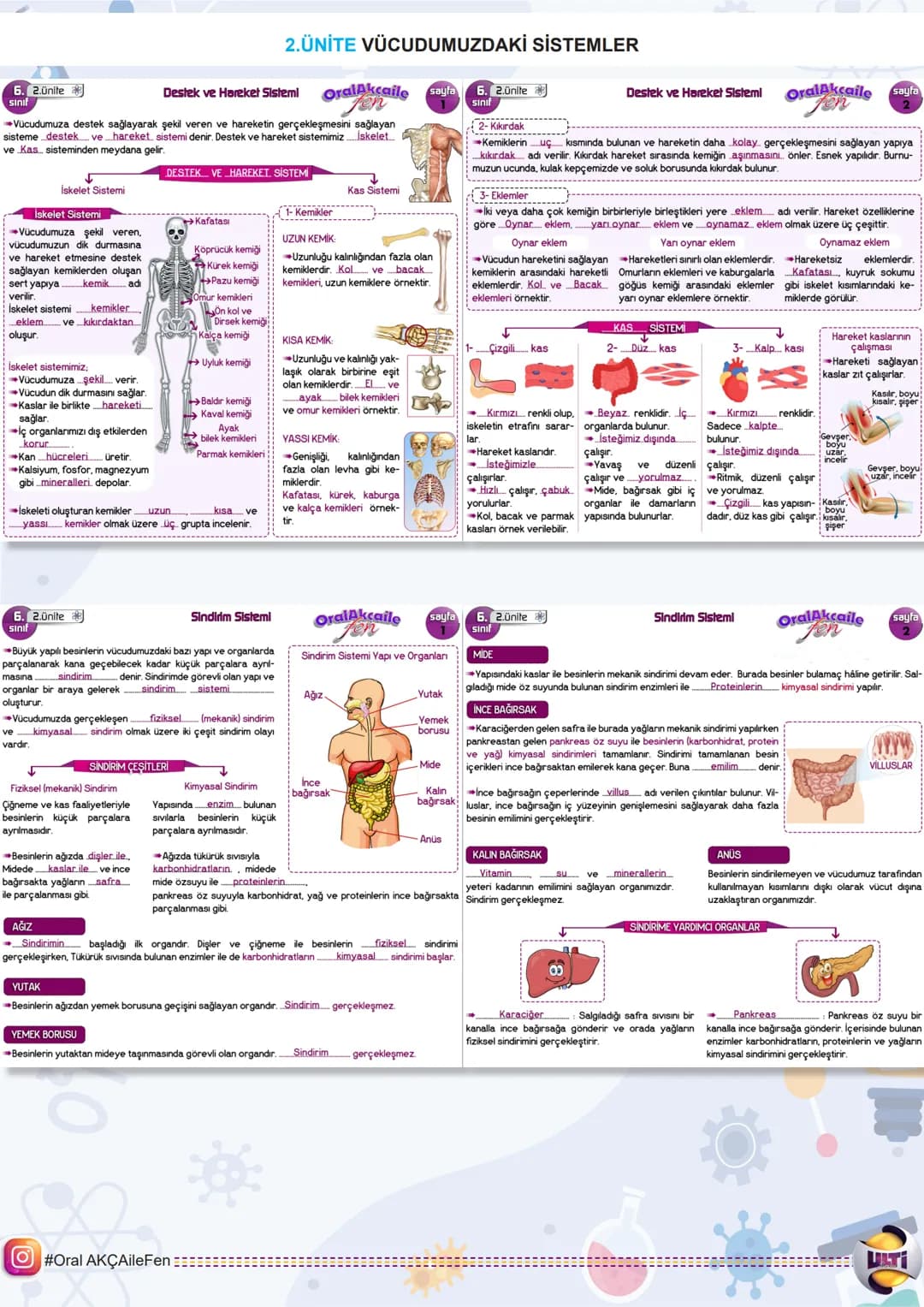 # 2025 BURSLULUK
## FEN BİLİMLERİ

# 6.
## SINIF

ORAL AKÇA'NIN NOTLARI İLE

# SON
# TEKRAR

ÇıTı
YAYINLARI 6. Lünite

1.ÜNİTE GÜNEŞ SİSTEMİ