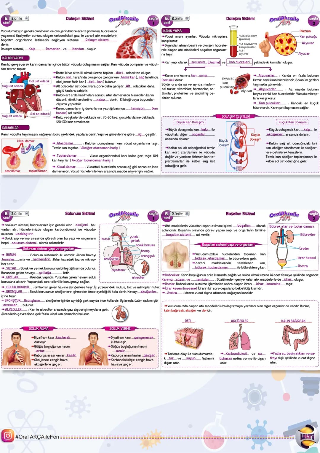 # 2025 BURSLULUK
## FEN BİLİMLERİ

# 6.
## SINIF

ORAL AKÇA'NIN NOTLARI İLE

# SON
# TEKRAR

ÇıTı
YAYINLARI 6. Lünite

1.ÜNİTE GÜNEŞ SİSTEMİ