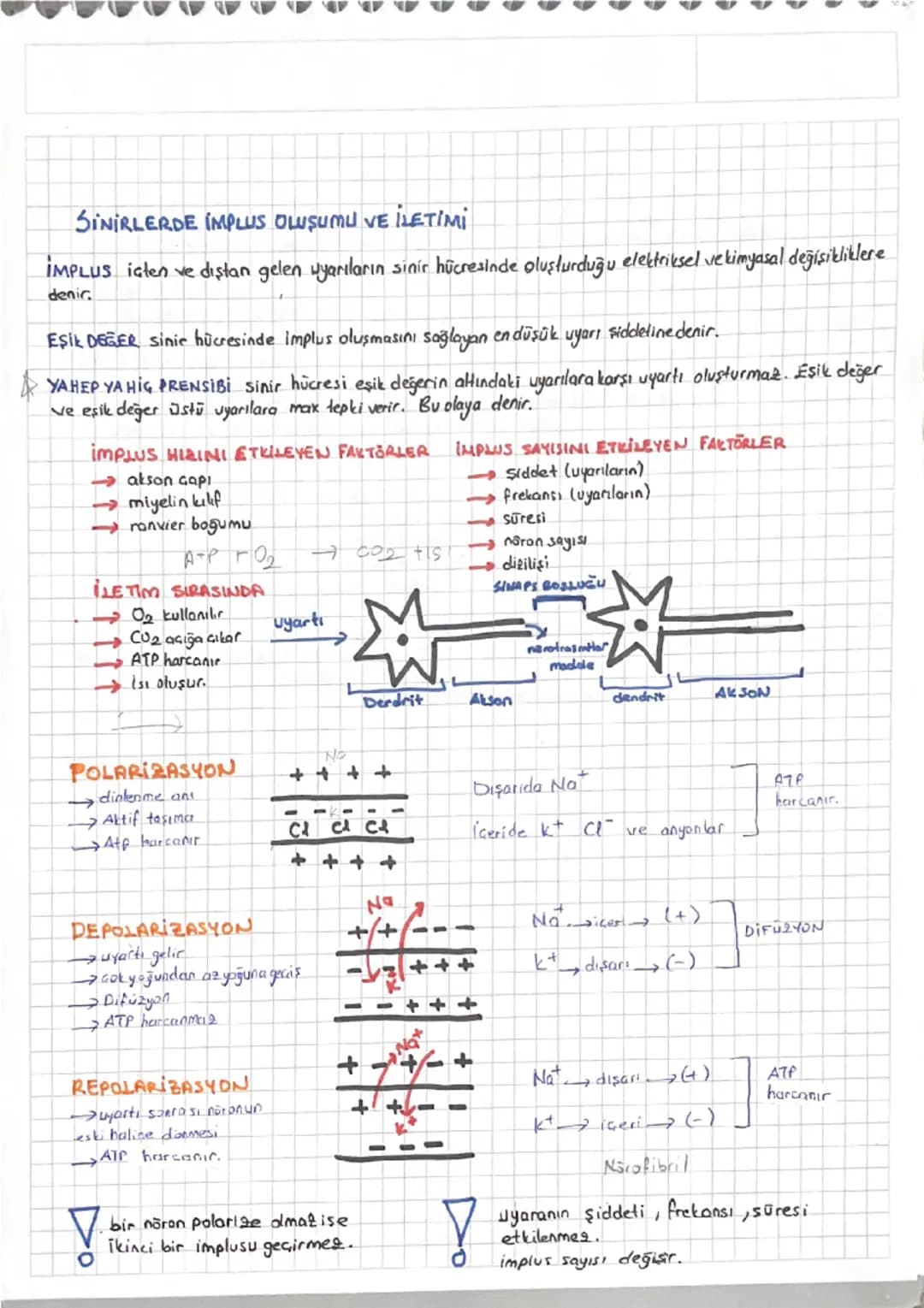 # SINIR SİSTEMİ

DOKU YAPI VE GÖREV BAKIMINDAN AYNI OLAN HÜCRELERİN BİR ARAYA GELEREK OLUŞTURDUĞU TOPLULUĞA DENIR.
DOKULARI İNCELEYEN BILIM 