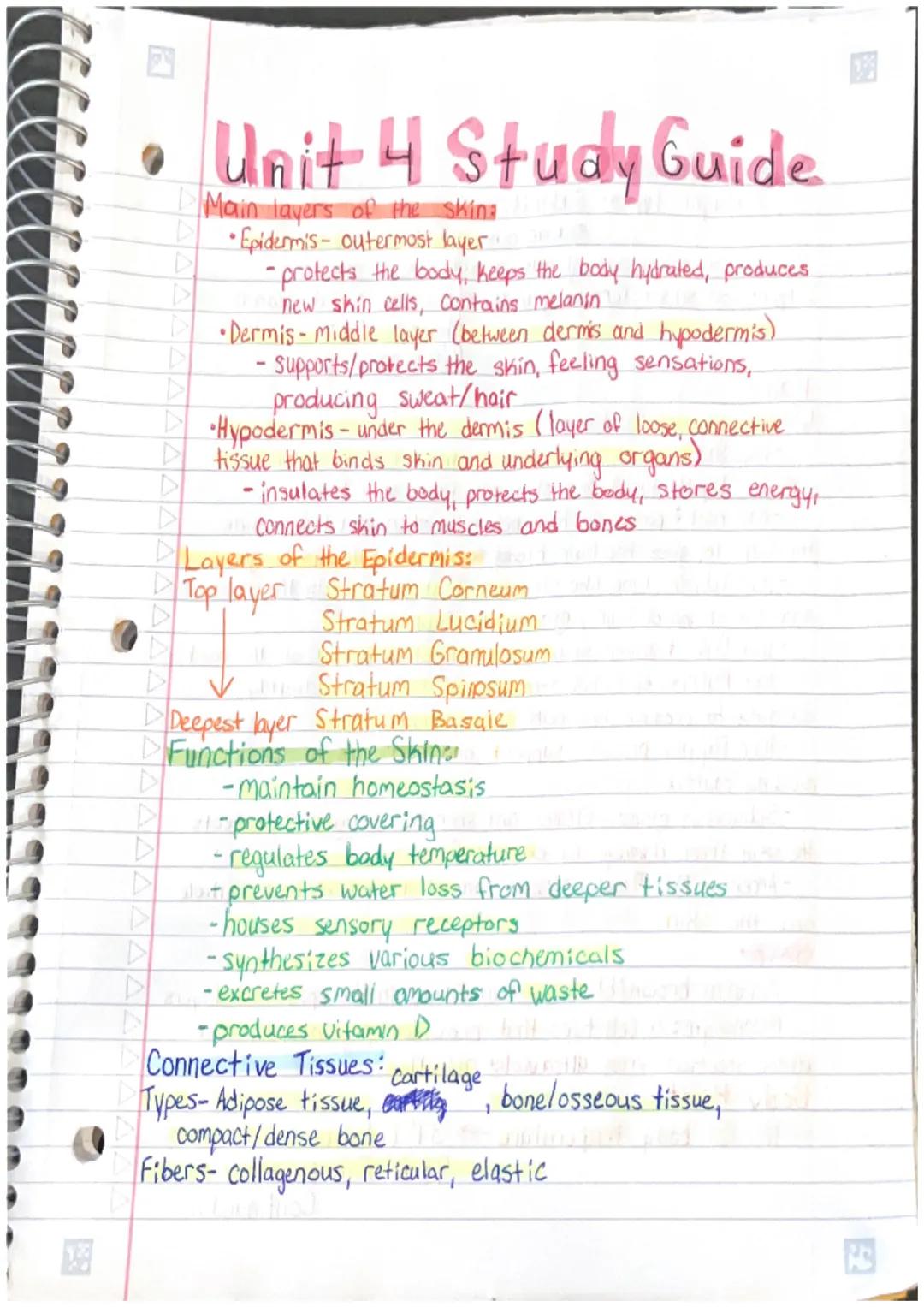 # Unit 4 Study Guide
Main layers of the skina
*   Epidermis- outermost layer
    -protects the body, keeps the body hydrated, produces
    n