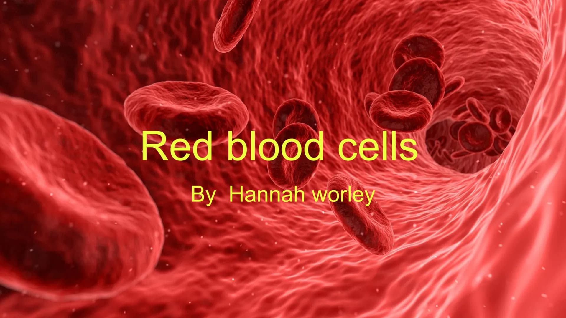 # Red blood cells

By Hannah worley # What is a red blood cell?

Red blood cells have the most important job of carrying oxygen. These cells
