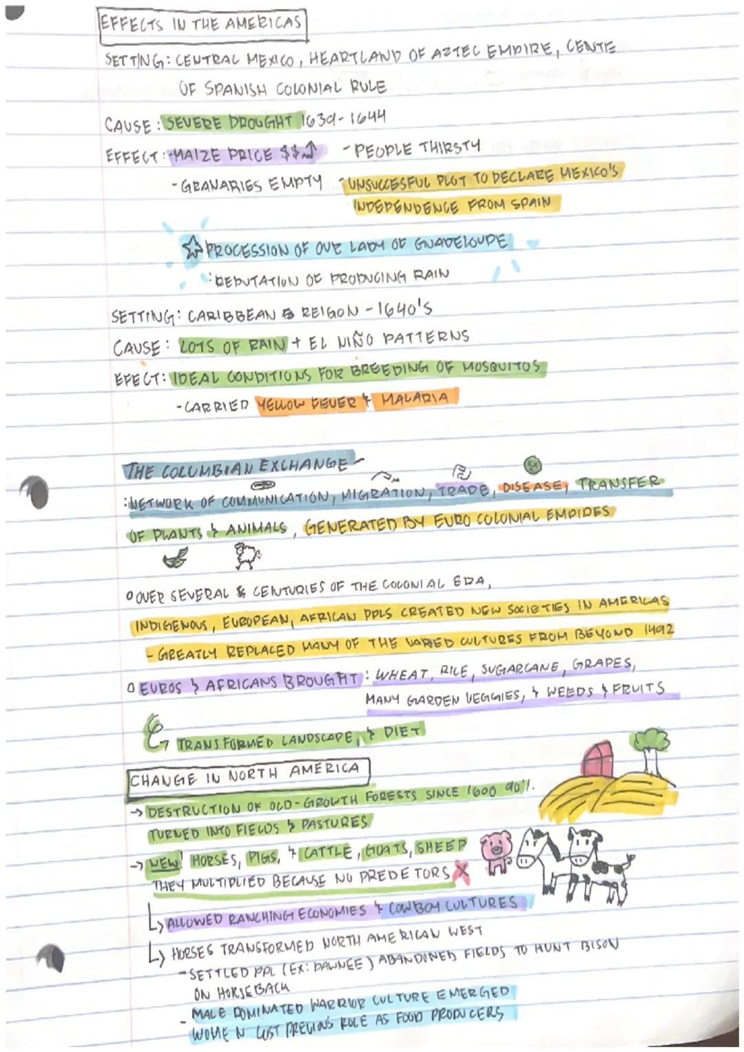 # SOCIAL MASS STRUCTURES FREEDOM BIGHTS DEVELOPMENTY
SOCIAL MOBILIT
MENDER ROUES
TRANS FOGHATION
# PULHICAL GOVERNMENT GLOBAL STRUCTURES LUG