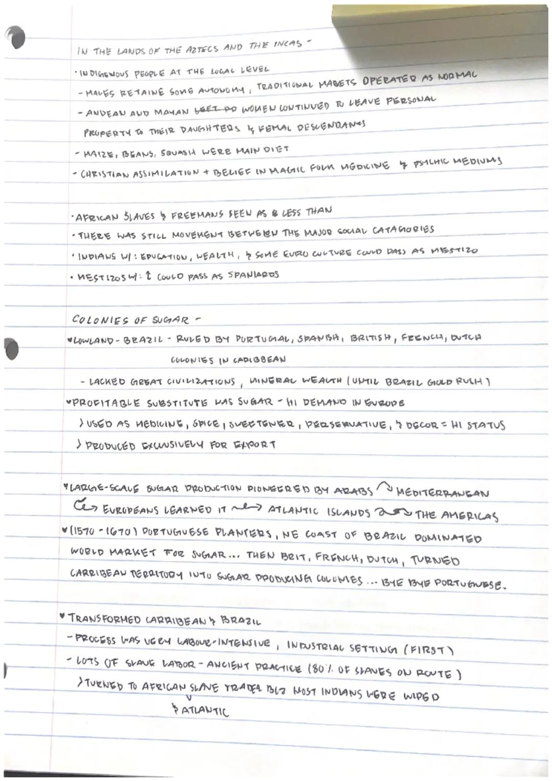 # SOCIAL MASS STRUCTURES FREEDOM BIGHTS DEVELOPMENTY
SOCIAL MOBILIT
MENDER ROUES
TRANS FOGHATION
# PULHICAL GOVERNMENT GLOBAL STRUCTURES LUG