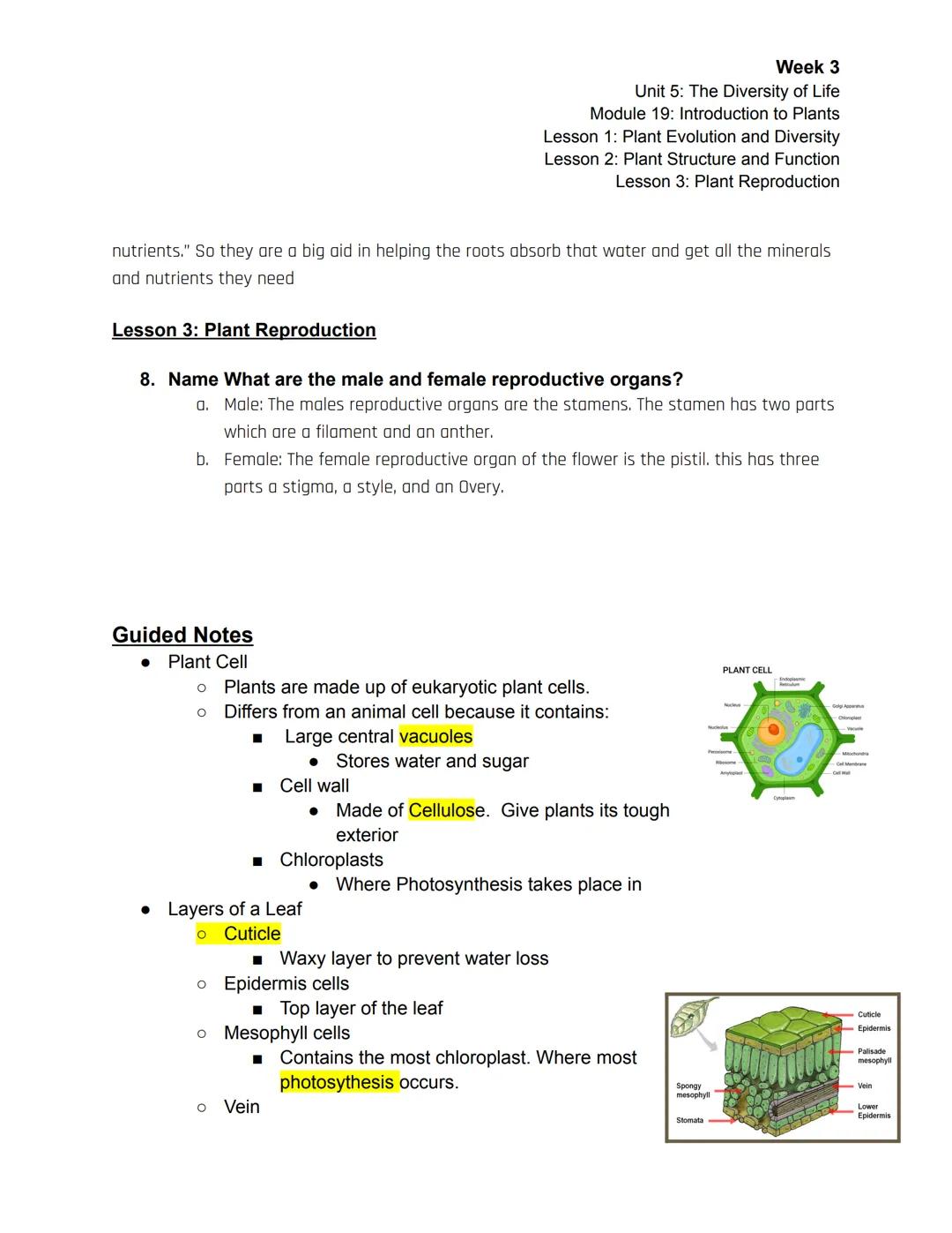 Week 3
Unit 5: The Diversity of Life
Module 19: Introduction to Plants
Lesson 1: Plant Evolution and Diversity
Lesson 2: Plant Structure and