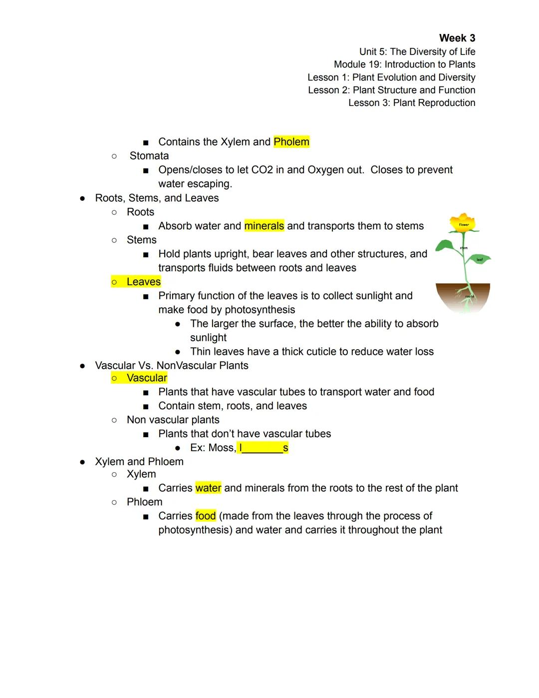 Week 3
Unit 5: The Diversity of Life
Module 19: Introduction to Plants
Lesson 1: Plant Evolution and Diversity
Lesson 2: Plant Structure and