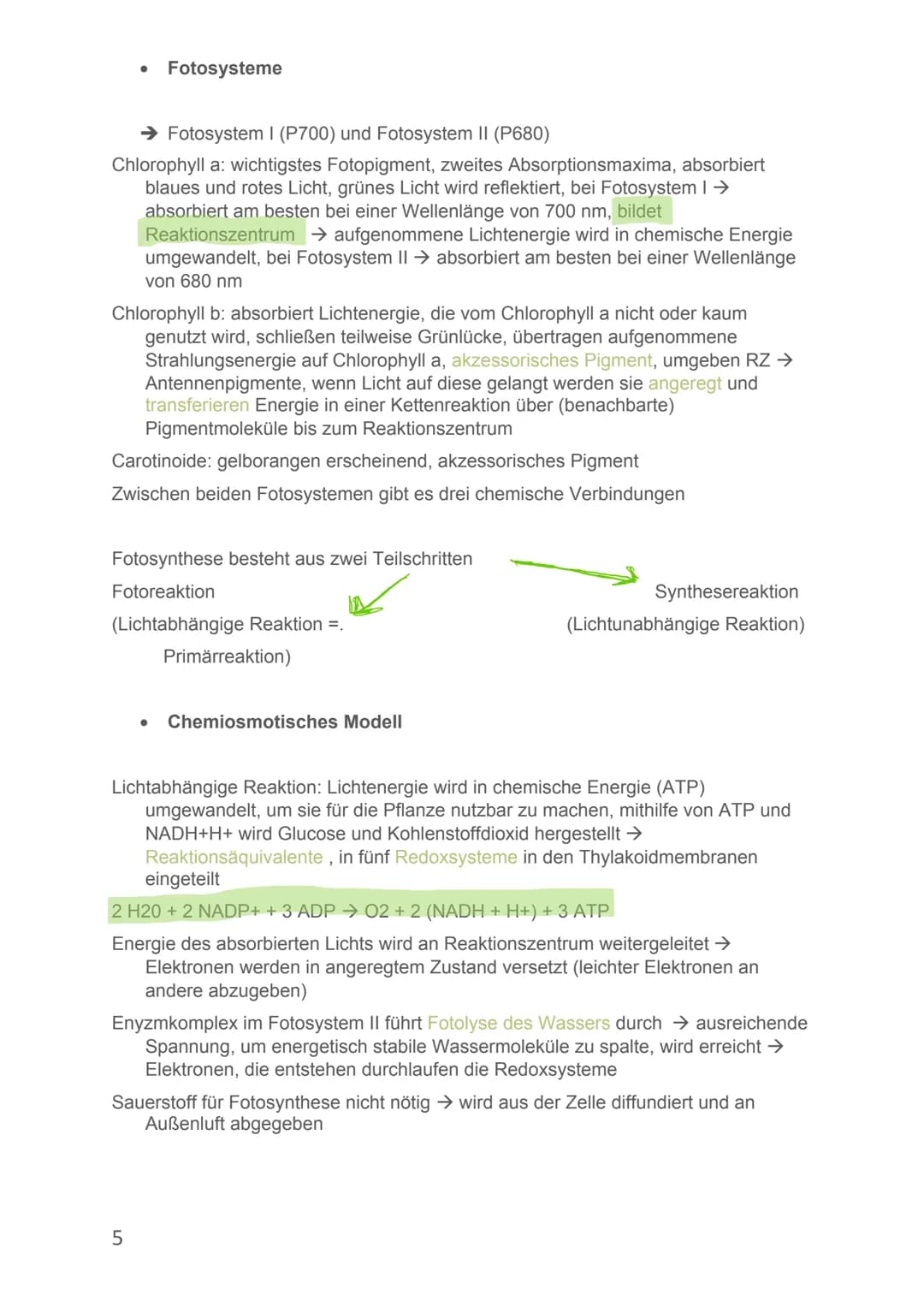 Von Alicia-Loreen Bitter

# Biologie Lernzettel

# Fotosynthese

- Ist der zentrale Stoffwechselvorgang der Erde, Voraussetzung für erdliche
