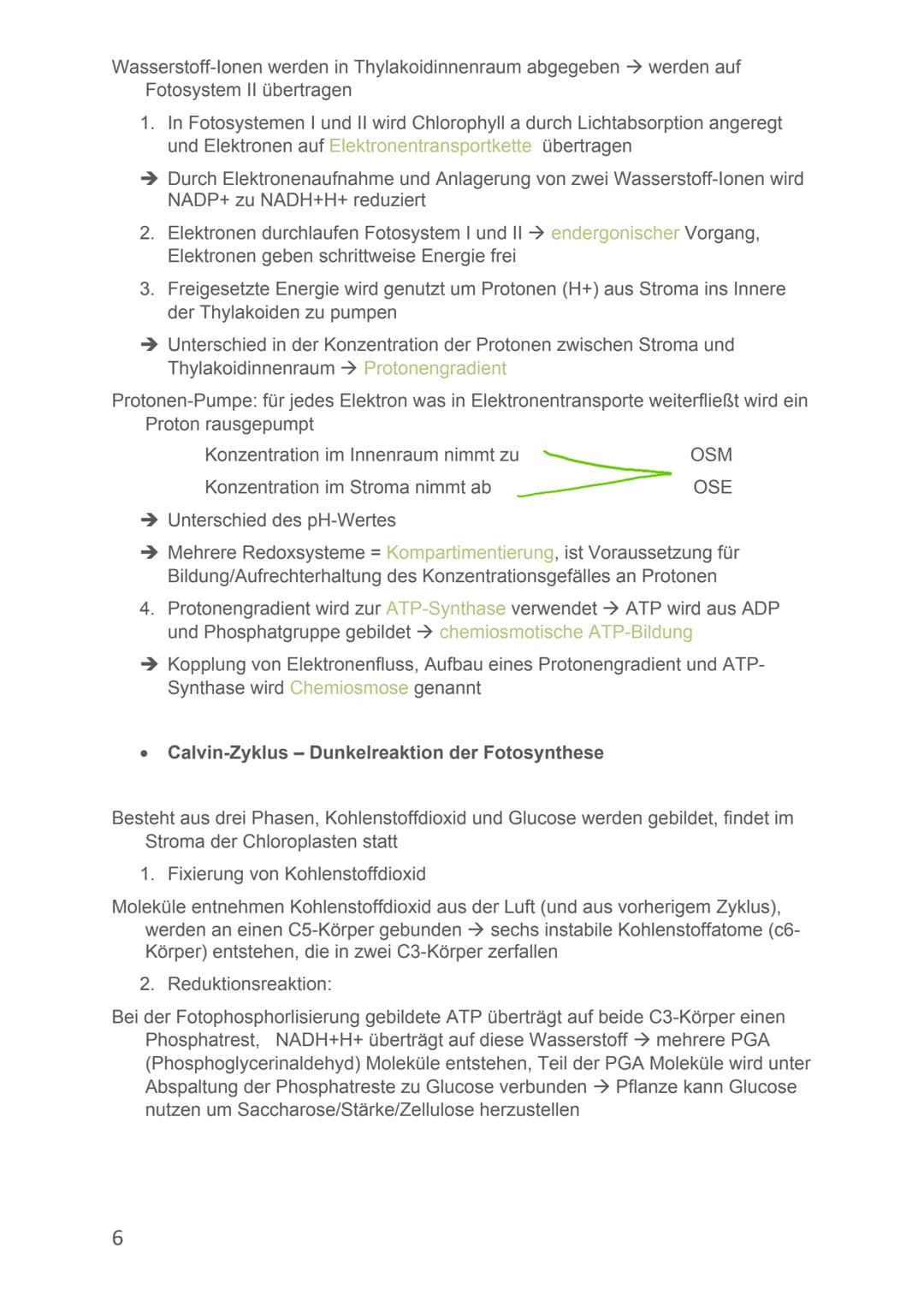 Von Alicia-Loreen Bitter

# Biologie Lernzettel

# Fotosynthese

- Ist der zentrale Stoffwechselvorgang der Erde, Voraussetzung für erdliche