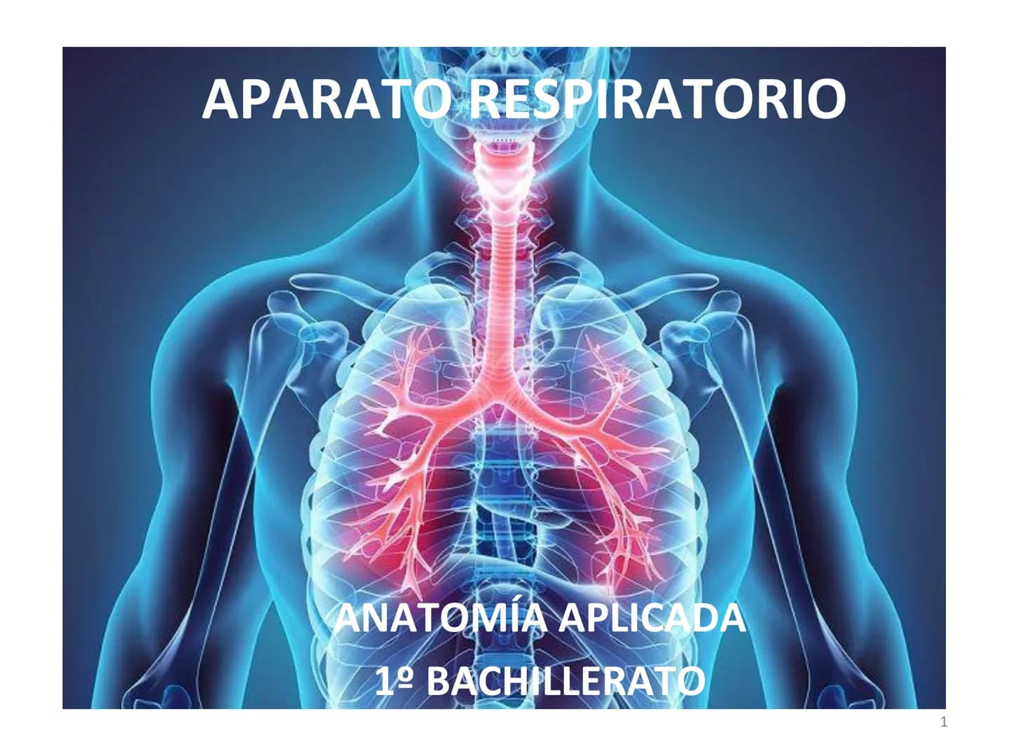 # APARATO RESPIRATORIO

ANATOMÍA APLICADA

1º BACHILLERATO

1 # APARATO RESPIRATORIO

El aparato respiratorio realiza las siguientes FUNCION