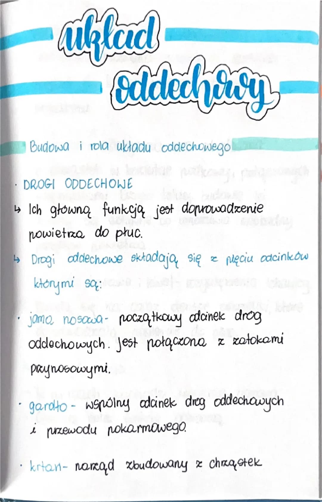 # uklad

oddechroy

Budowa i rola układu oddechowego

- DROGI ODDECHOWE

↳ Ich główną funkcją jest doprowadzenie
powietrza do płuc.

wobaday